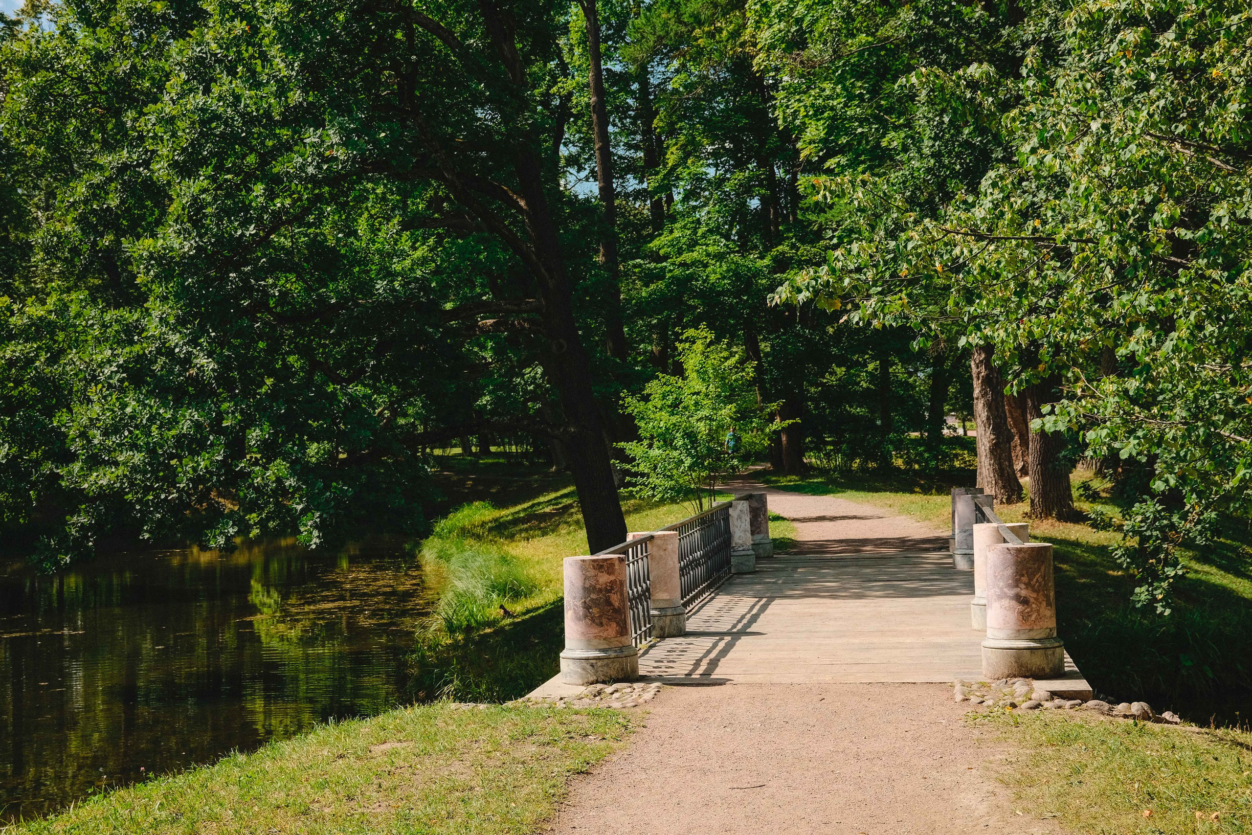2023.07. Фотограф Алексей Алексеев