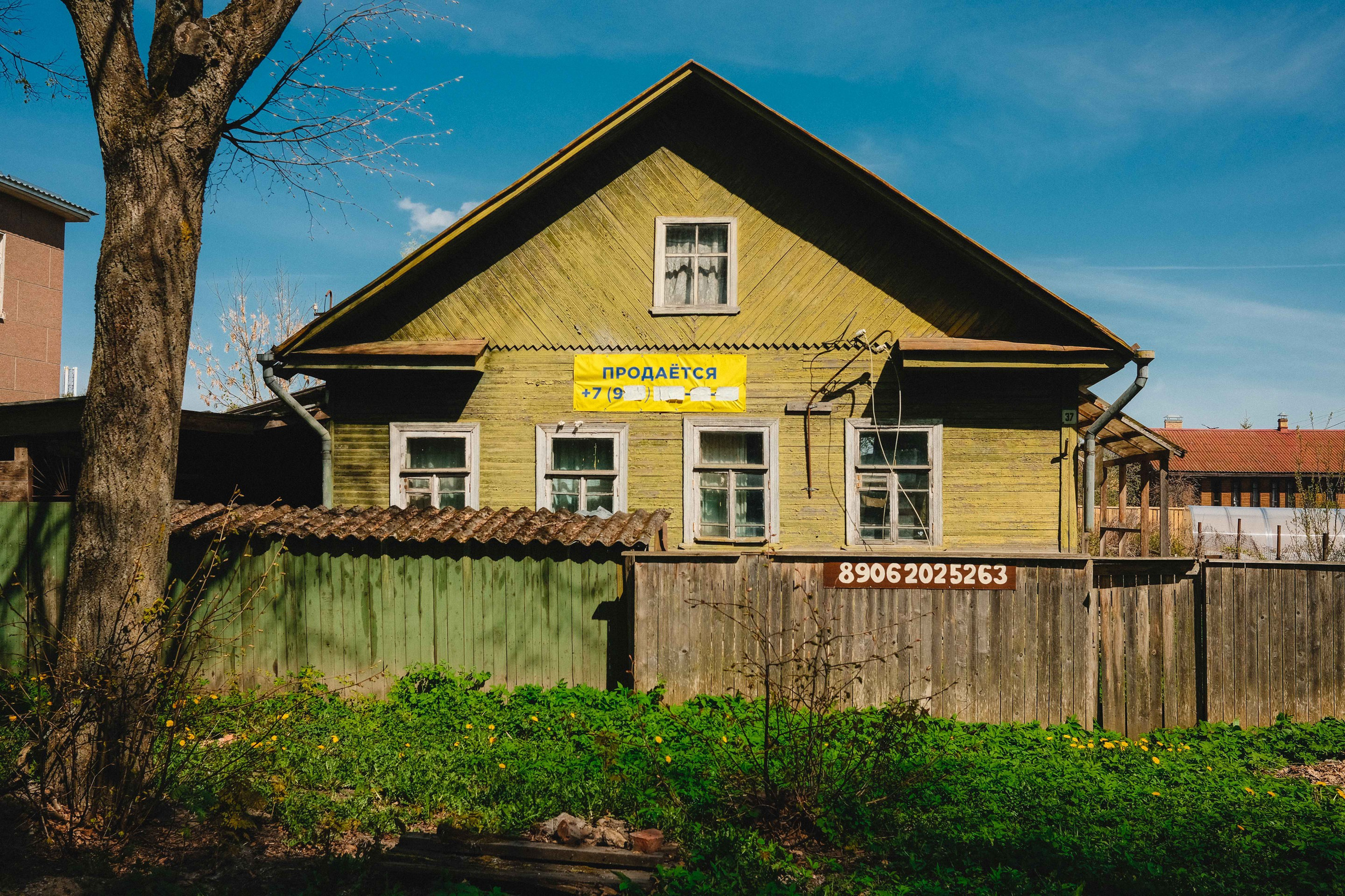 2023.05. Фотограф Алексей Алексеев
