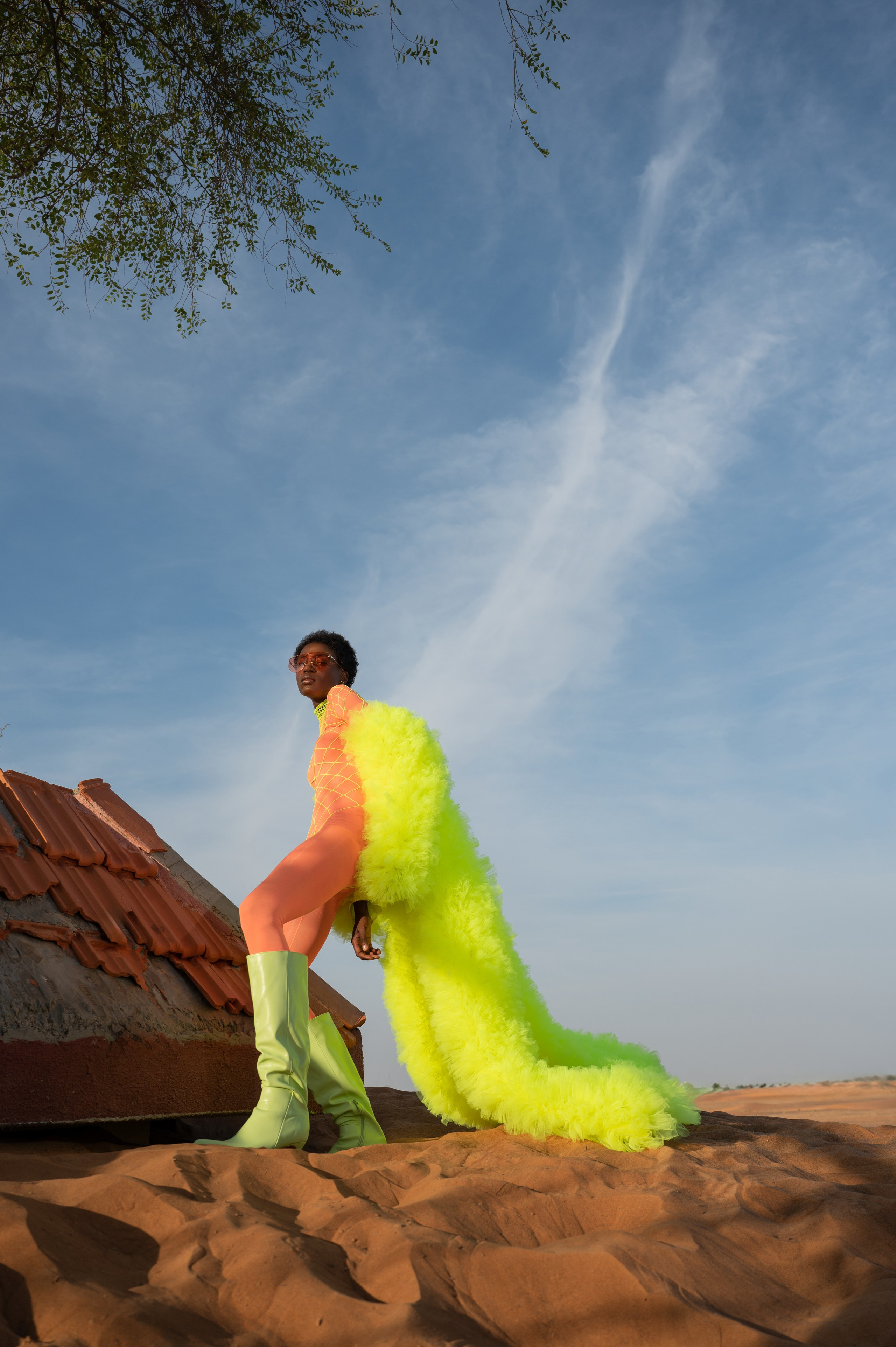 Fairy bird. Коммерческий фотограф Москва /Дубай, эксклюзивные фэшн фотосессии