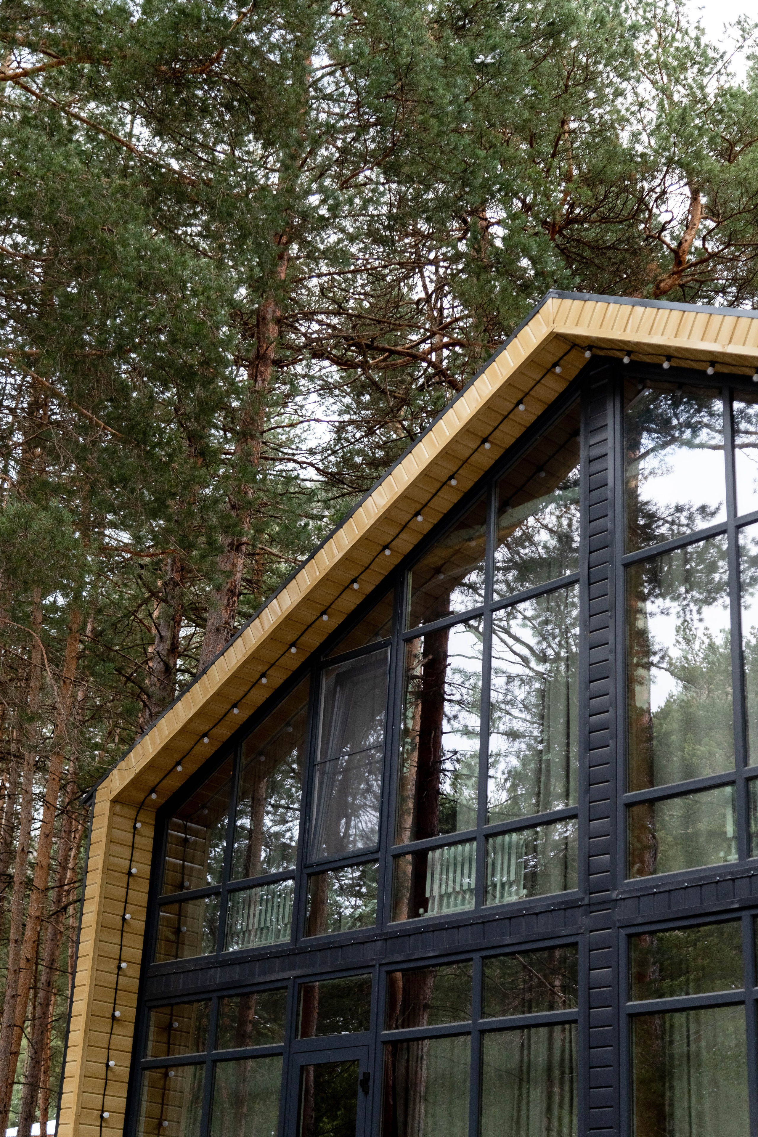 Wood 5642. Главная