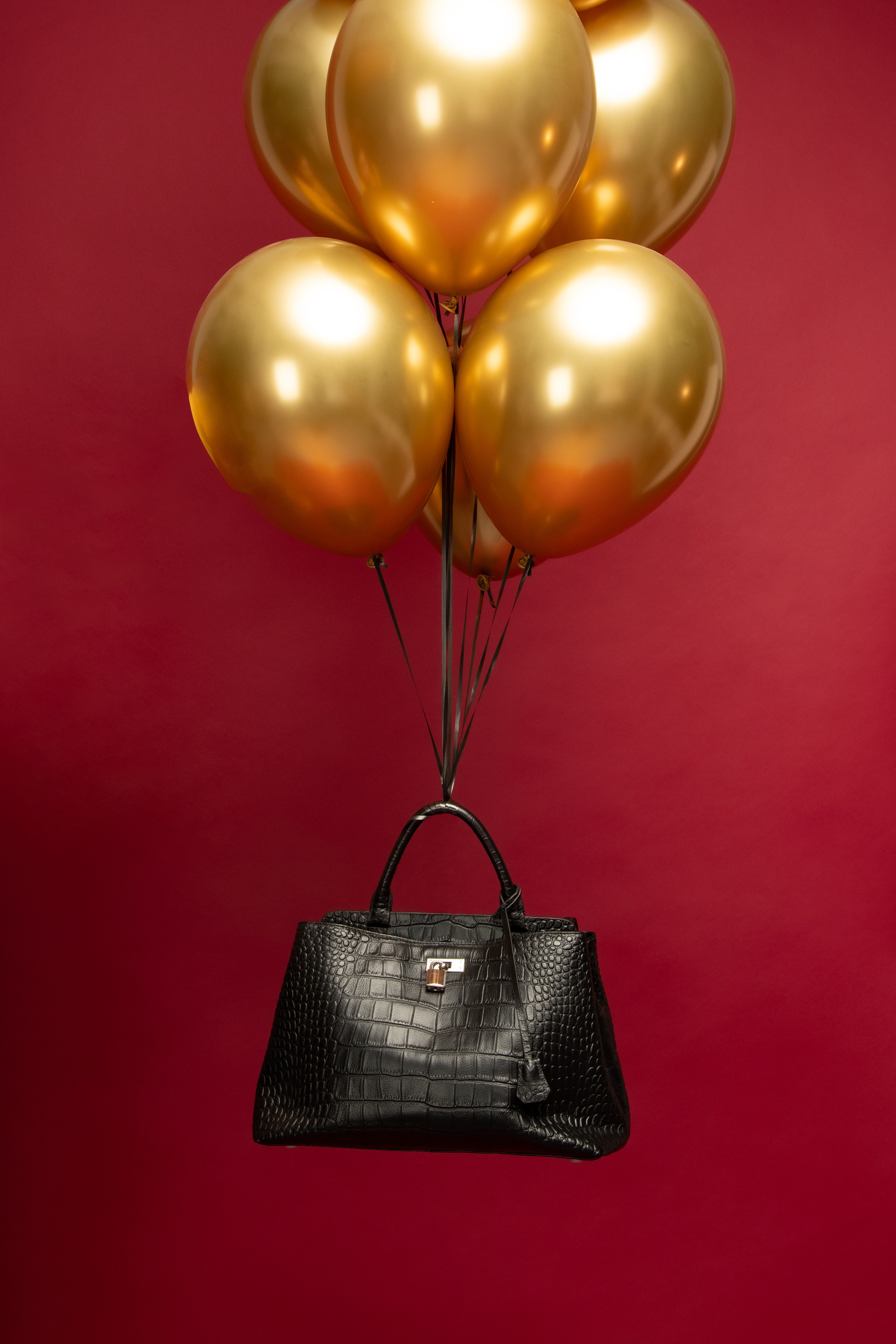 Саламандер 6. Фотограф, дизайнер Малыш Виталий. Москва