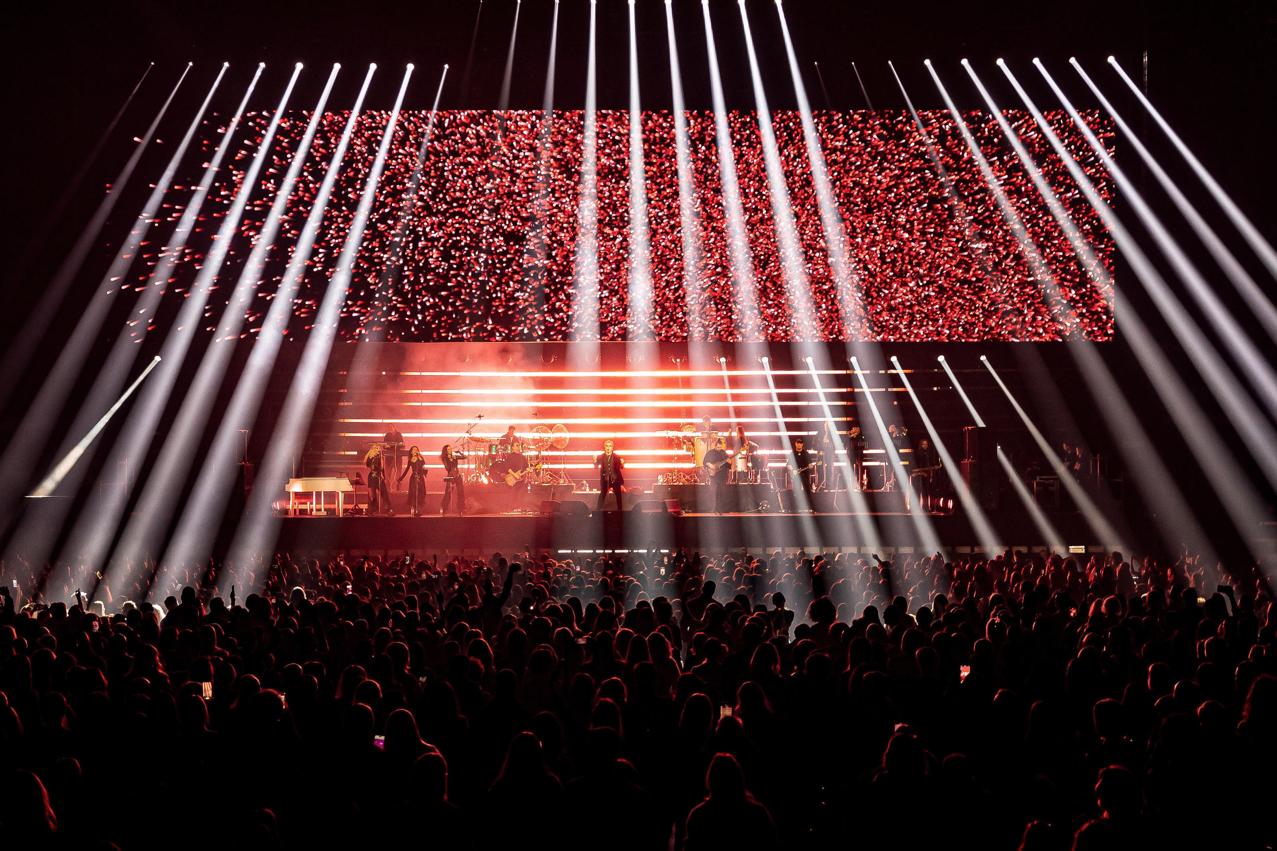 ВЛАДИМИР ПРЕСНЯКОВ / 2024. OOPS