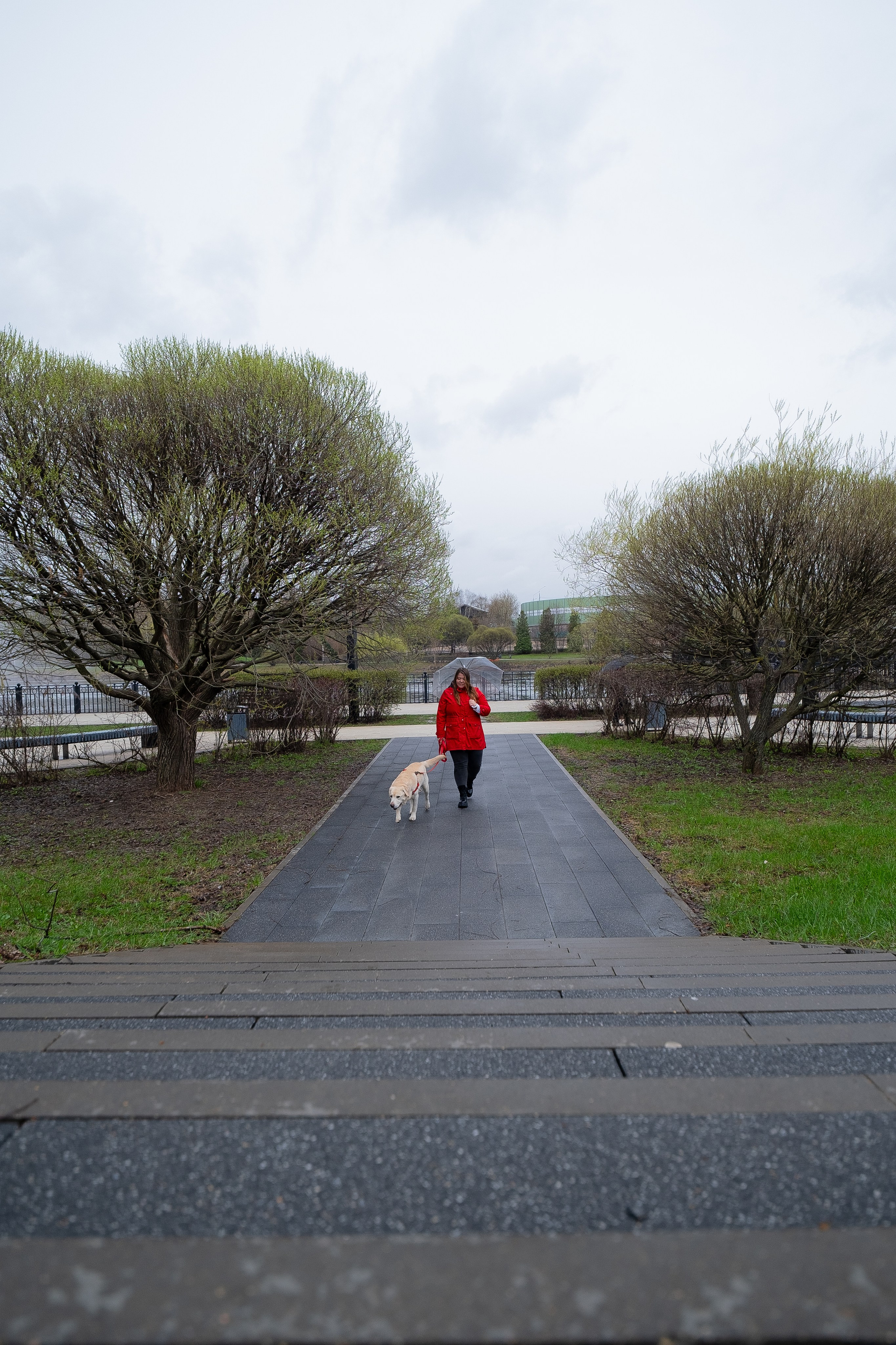 Света и Лето. Фотограф и видеограф анималист Аганина Дарья