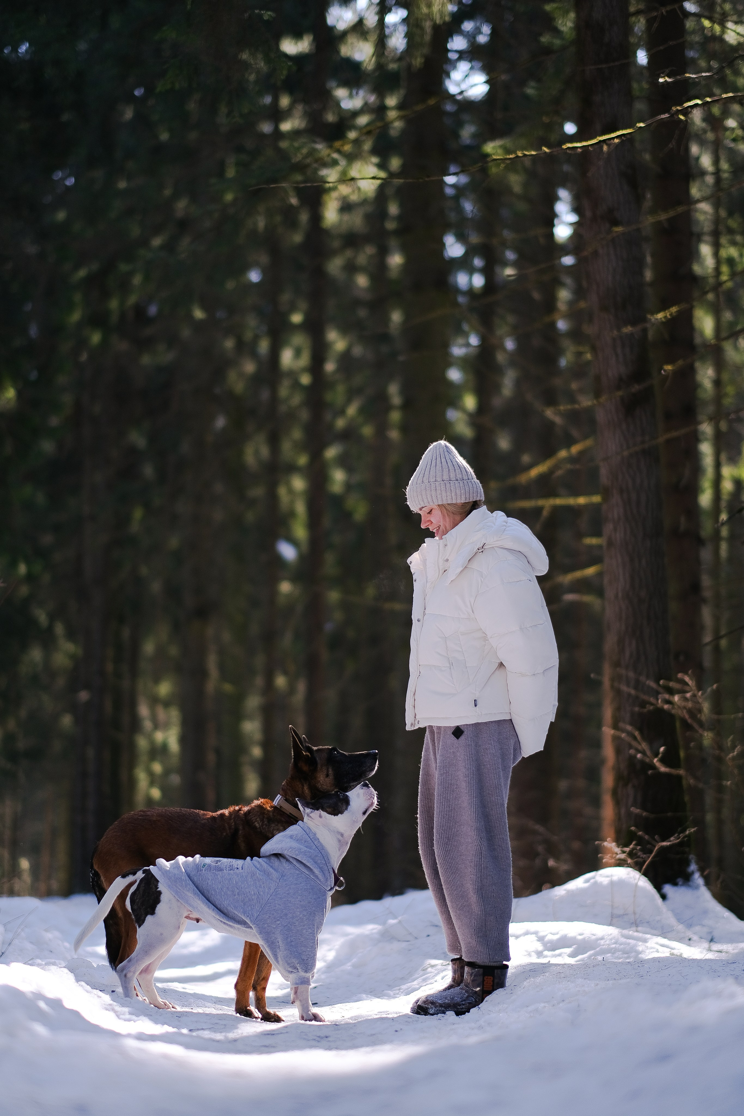 Женя, Афра и Молли. Фотограф и видеограф анималист Аганина Дарья
