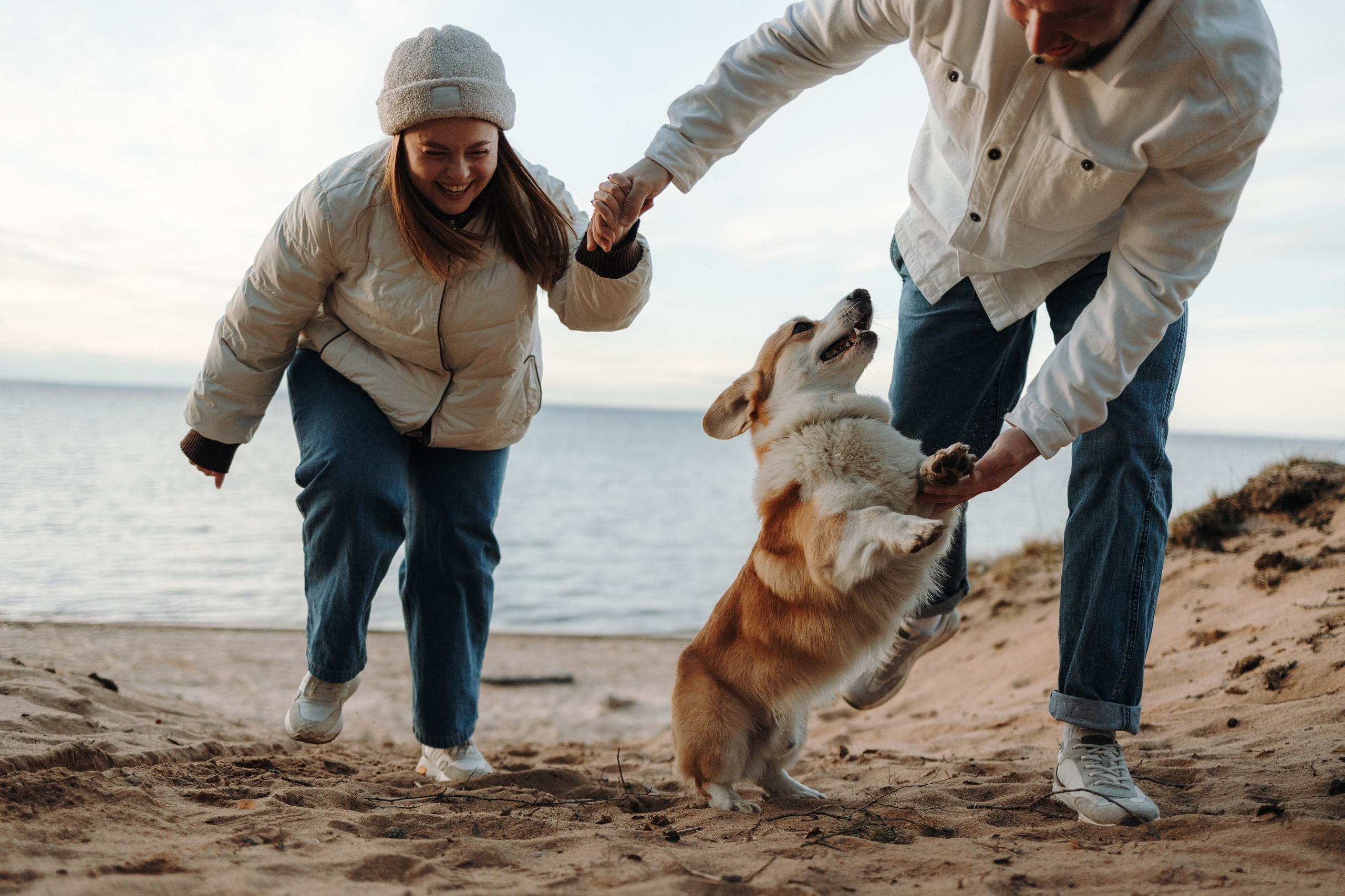 Найт и его семья. Фотограф — Анималист | Санкт-Петербург