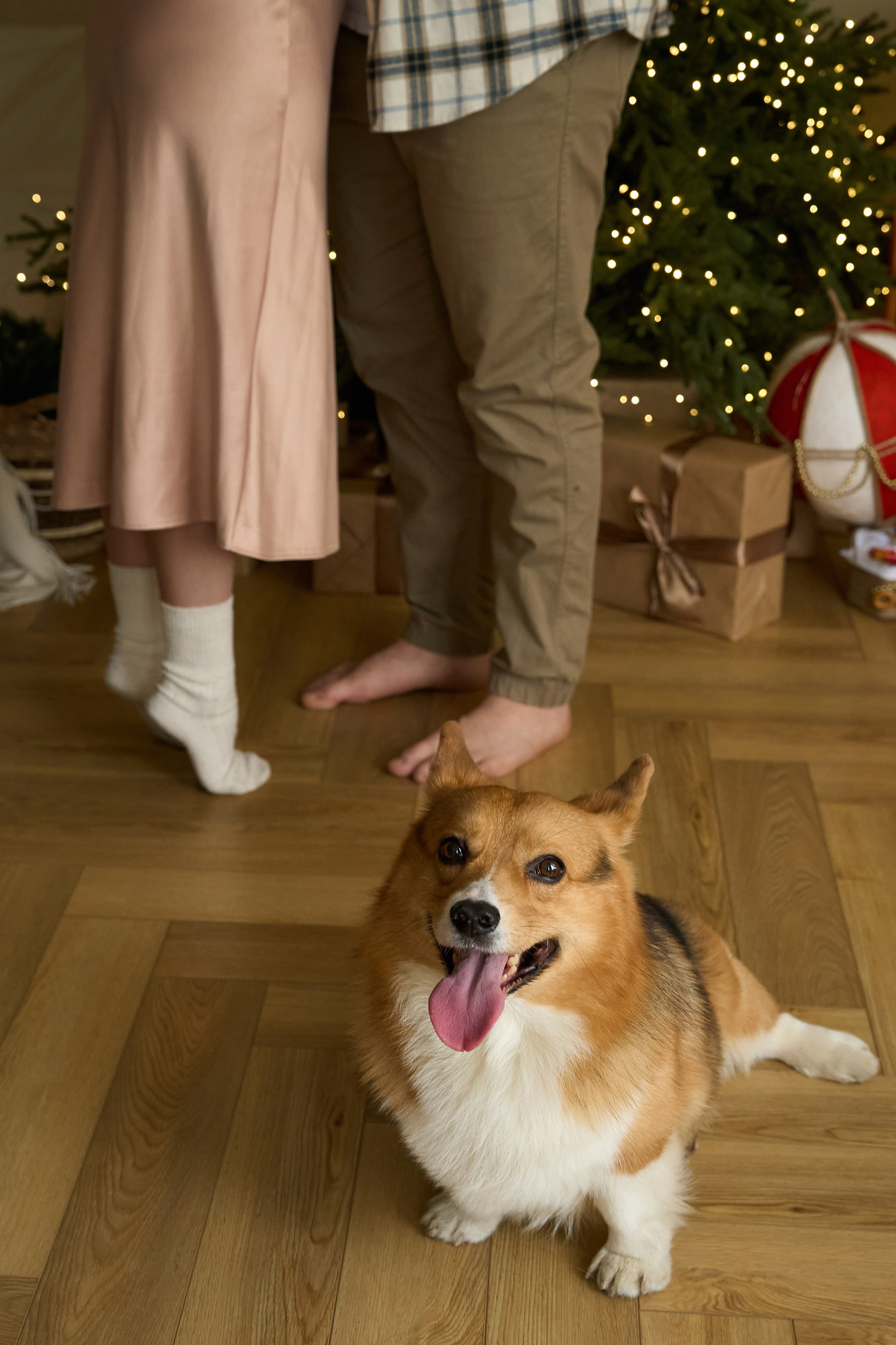 Максим, Кристина и Кофри. Фотограф из Владивостока Юлия Черепова