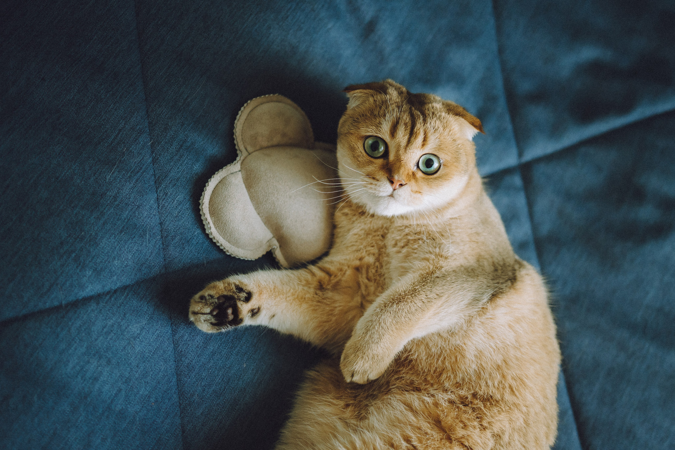 Генри и его семья