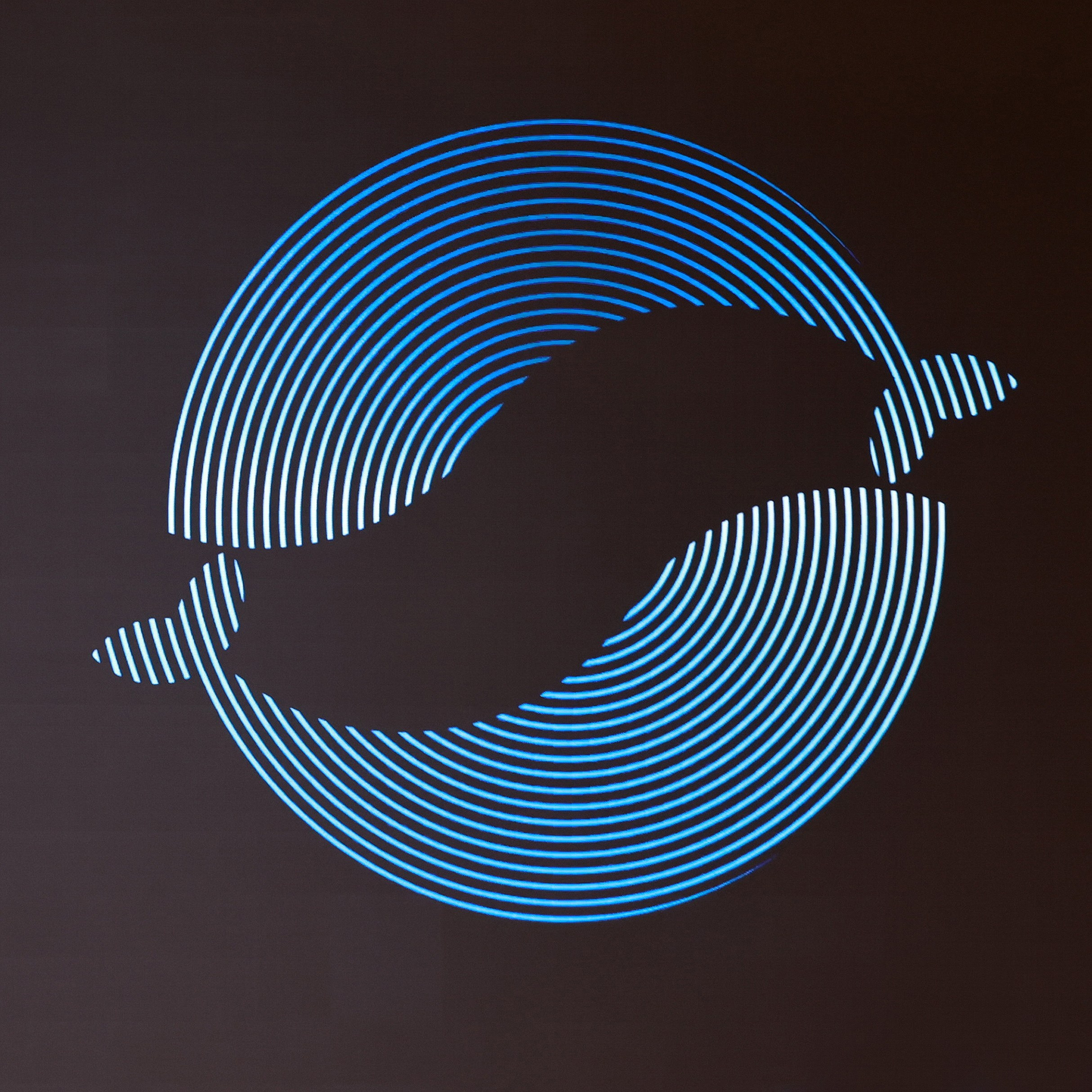 Дело Года 2024. Счастье в деятельности. Проект Филиппа Гузенюка. Фотографирую масштабные события, людей и их истории по всему миру. Константин Трубников