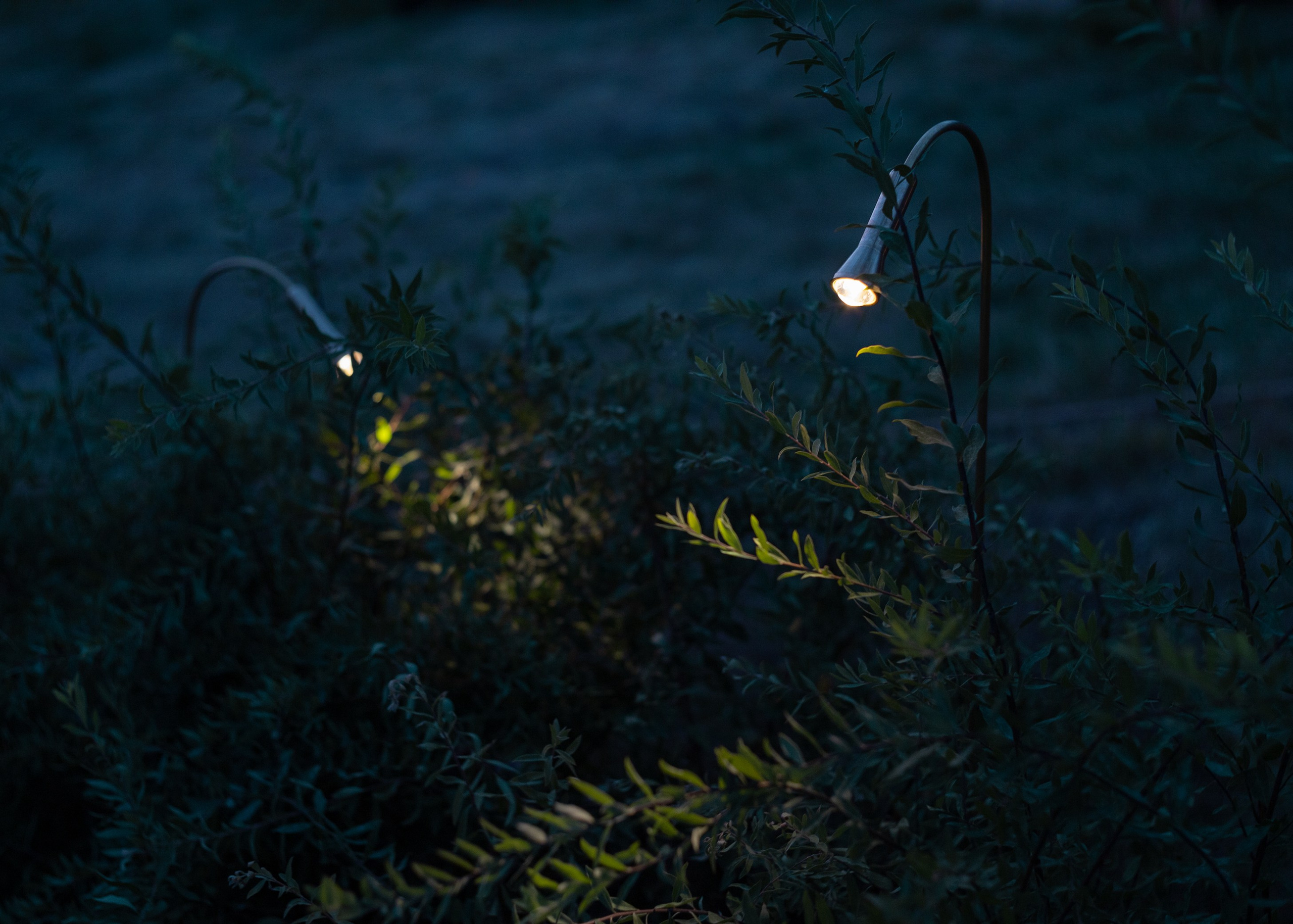 Декоративный ландшафтный свет TEMPARIUM. Фотограф Наталья Молчанова