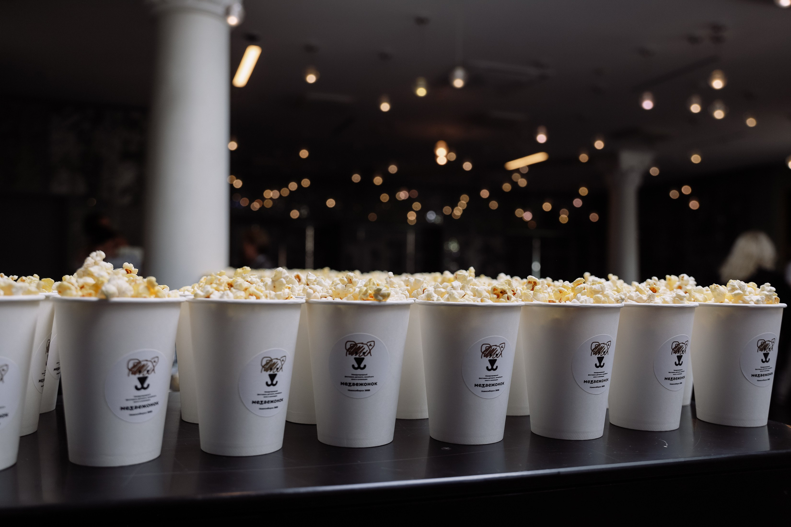 Кинофестиваль Медвежонок в Победе. Фотограф Юлия Мальцева