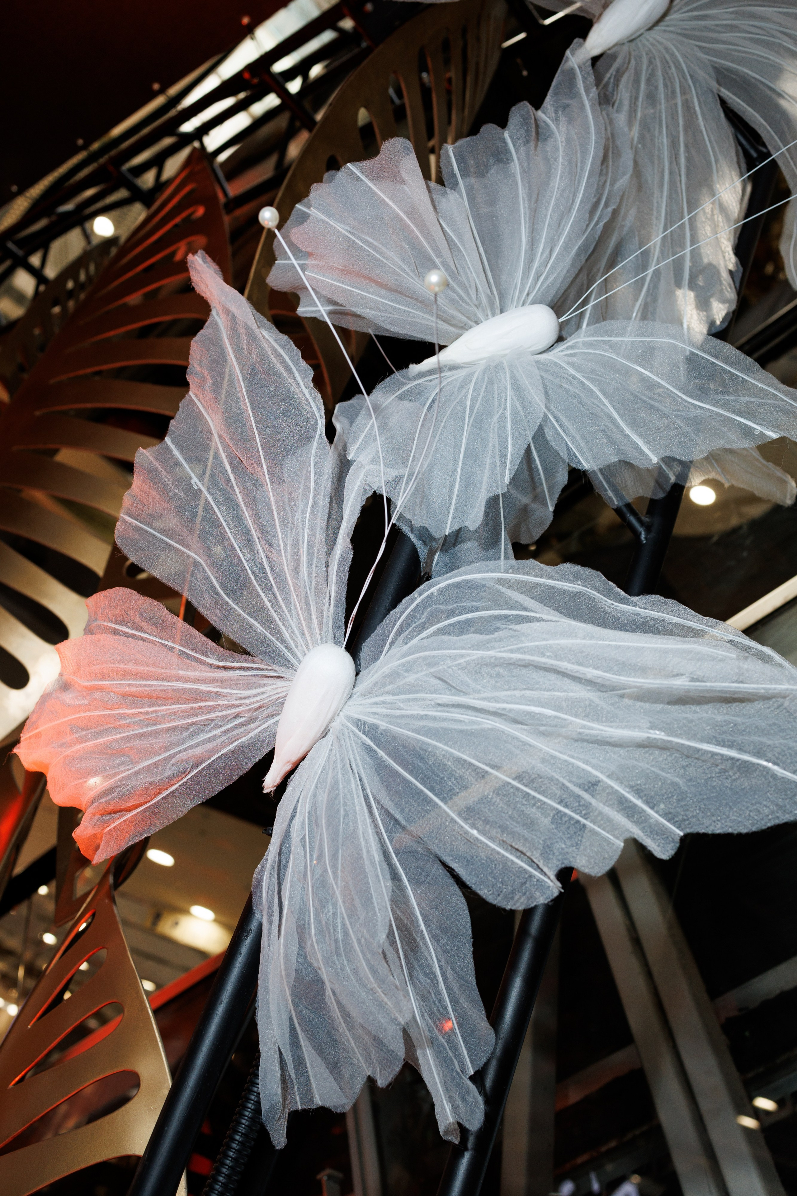 Презентация сета 'Дорогое удовольствие'. Https://andreysolodov.ru