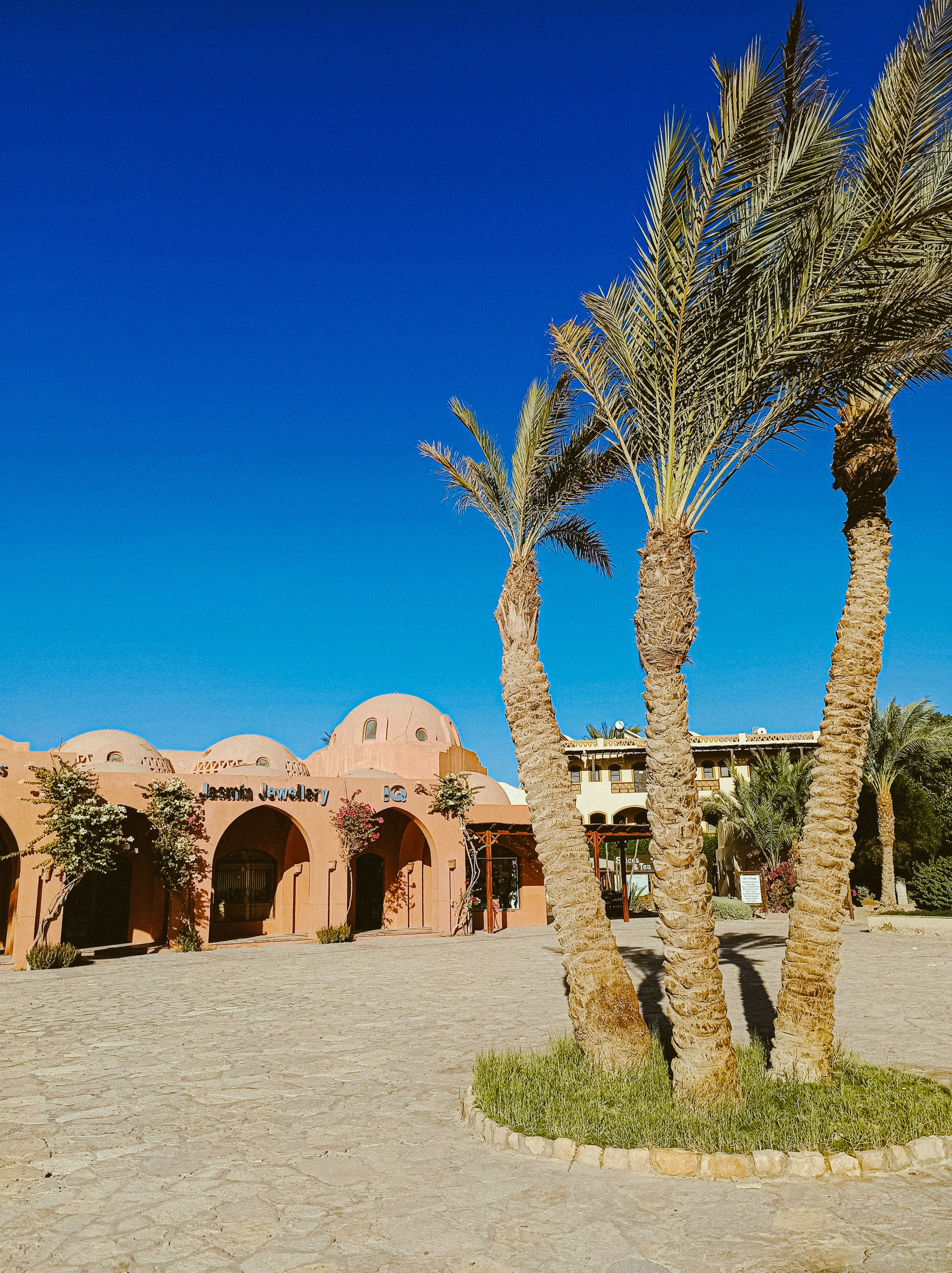 Мобильная. Jorgis — фотограф в Хургаде / обучение фотографии