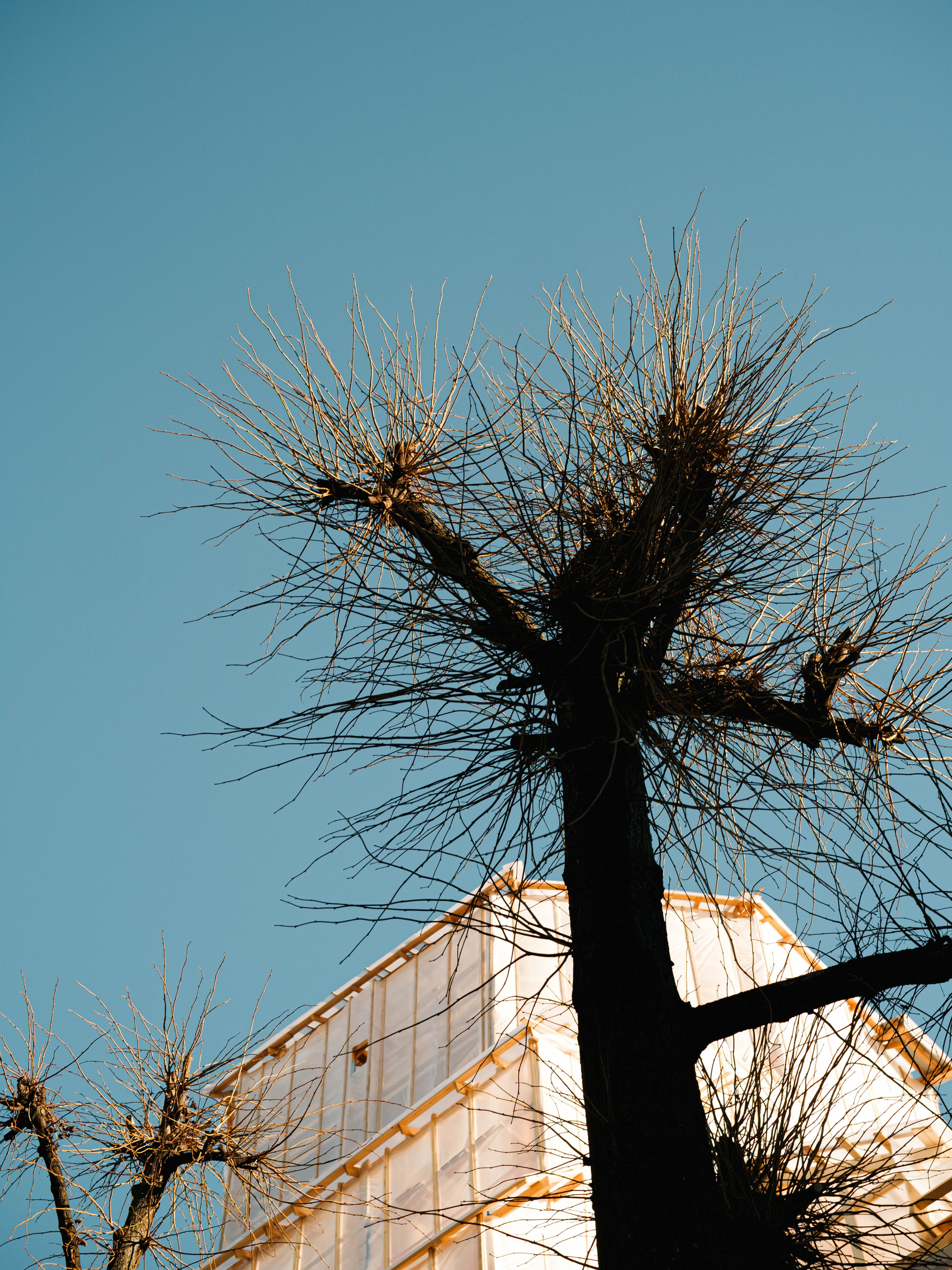 Skuratov Пробежки Март. Портретный и репортажный фотограф в Санкт-Петербурге Смоляков Максим