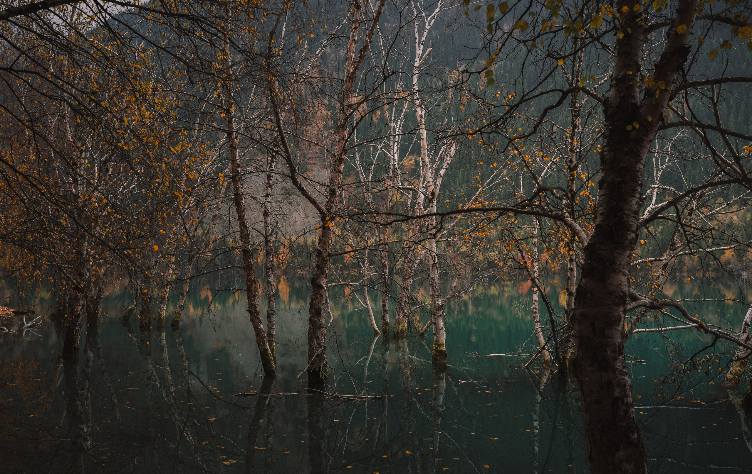 Issyk lake. Фотограф в Алматы Анастасия Новоселова