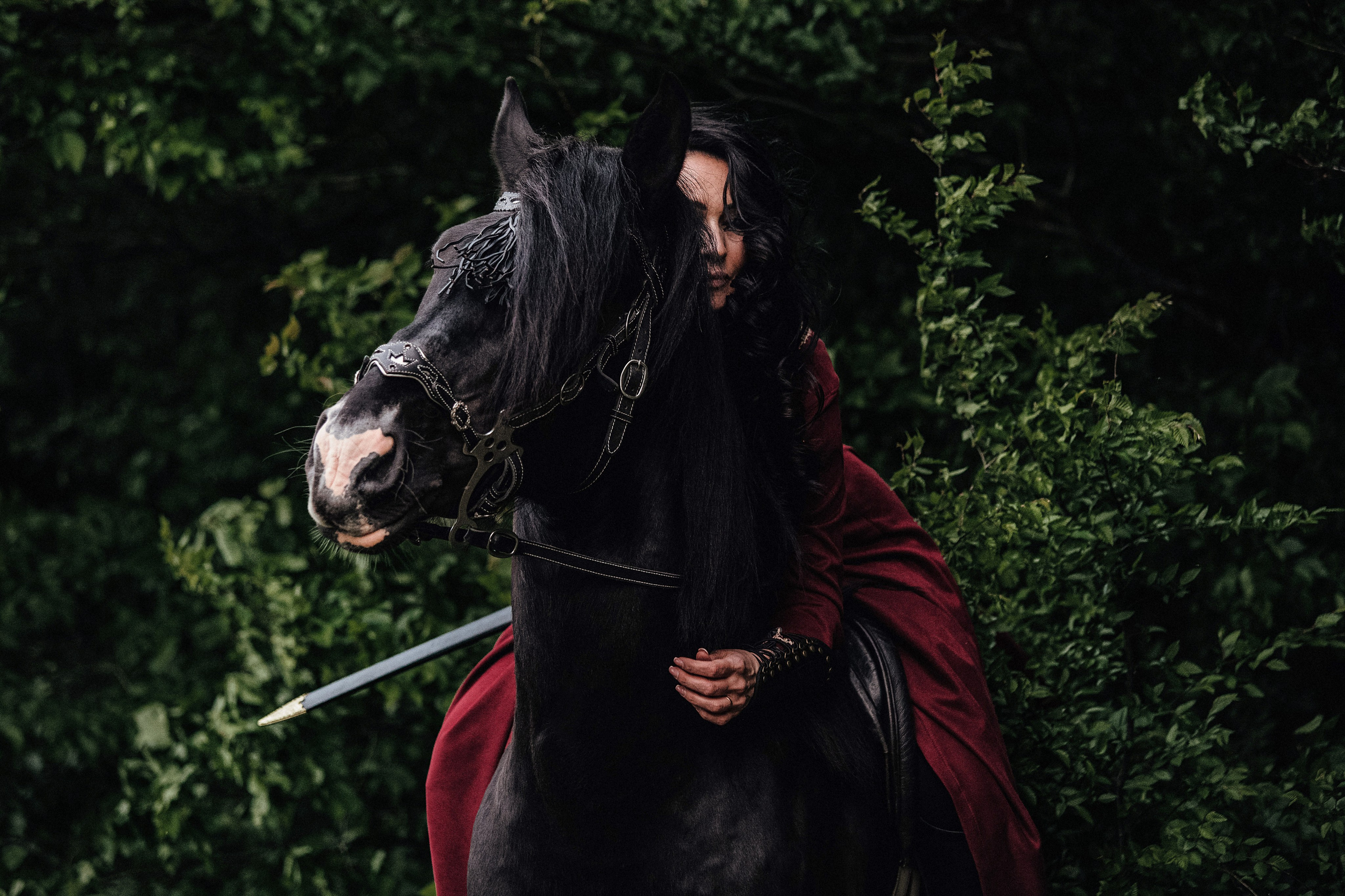 Викинг. Конный и театральный фотограф Анапа