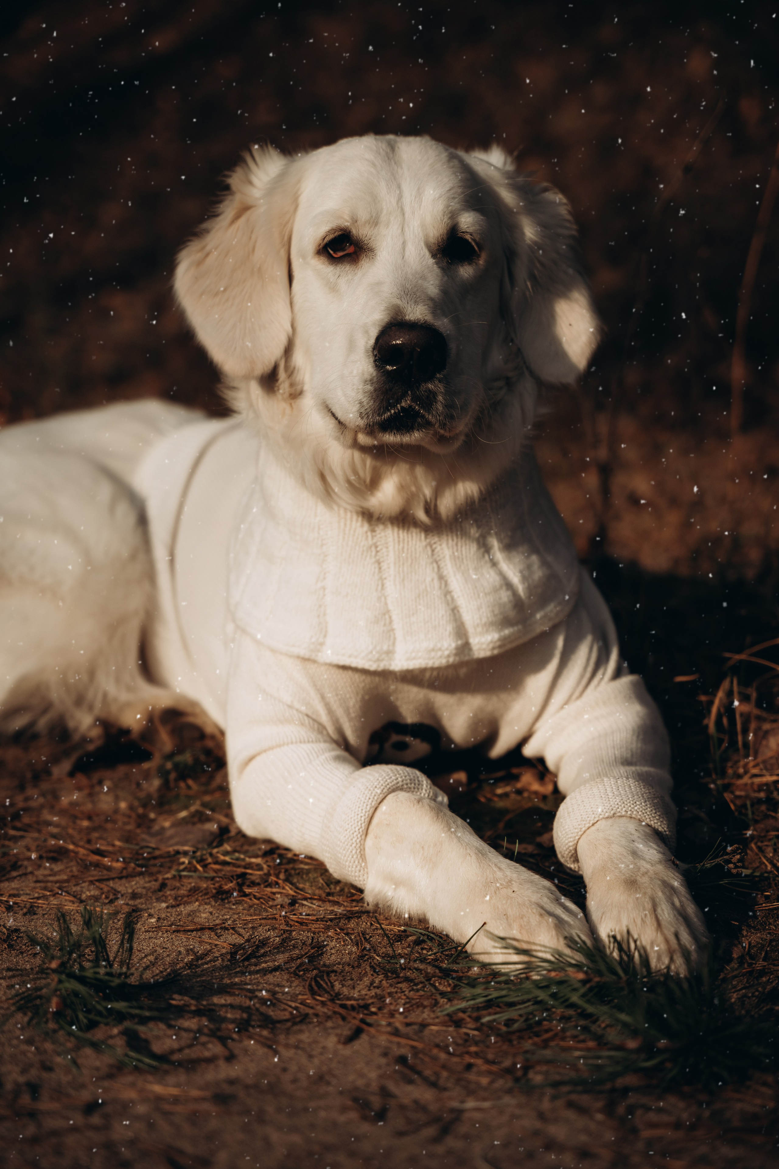 Женя, Юля, Дарина и Молли. Фотограф Мария Миллс | Минск