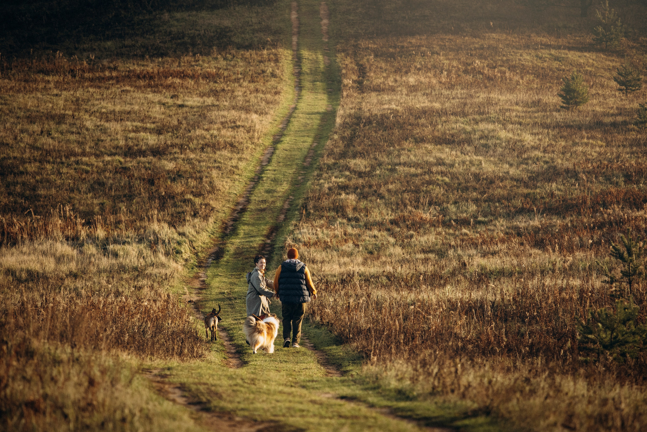 Трисс, Эста, Яся и их семья. Фотограф — Анималист | Санкт-Петербург