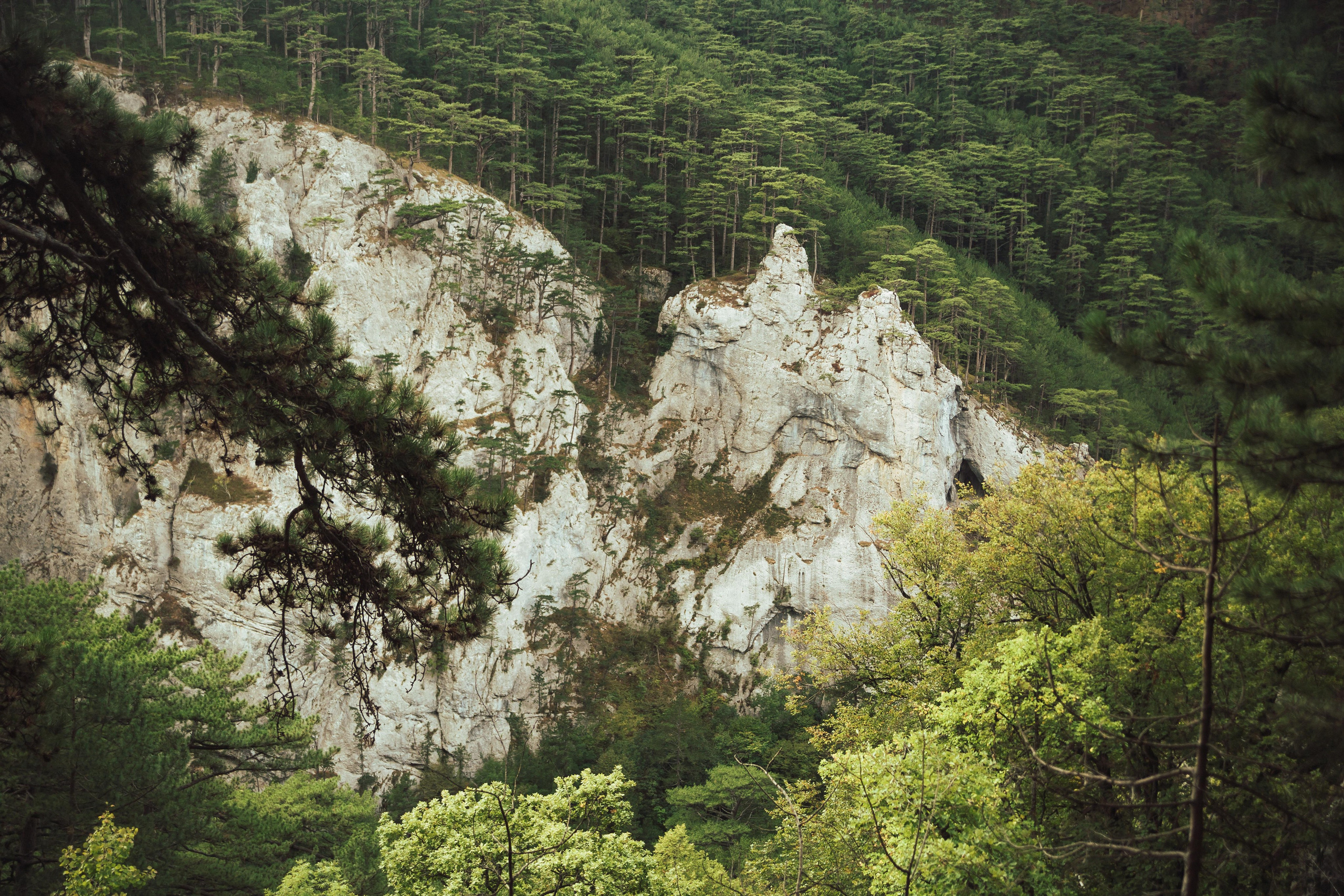 Много гуляли. Семен Соколов