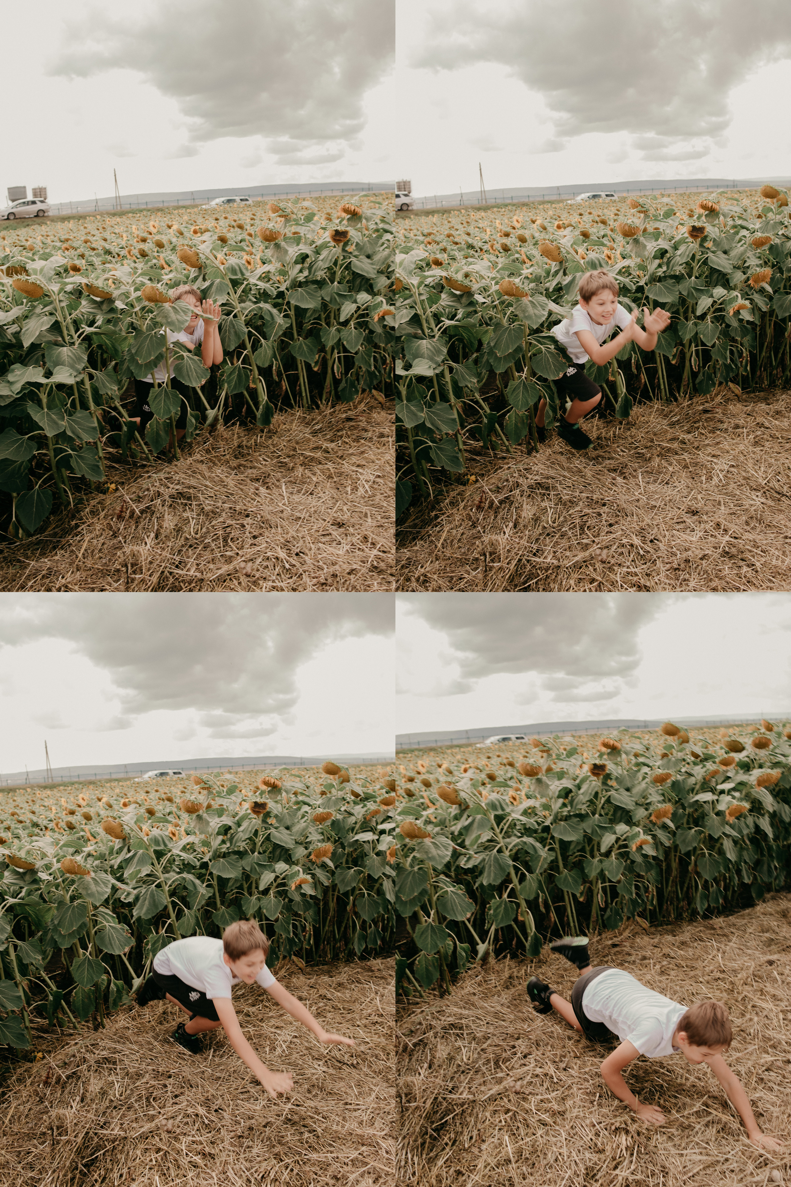 Прогулка в поле. Светлана, Матвей, Захар. Фотограф Регина Крикунова г. Красноярск