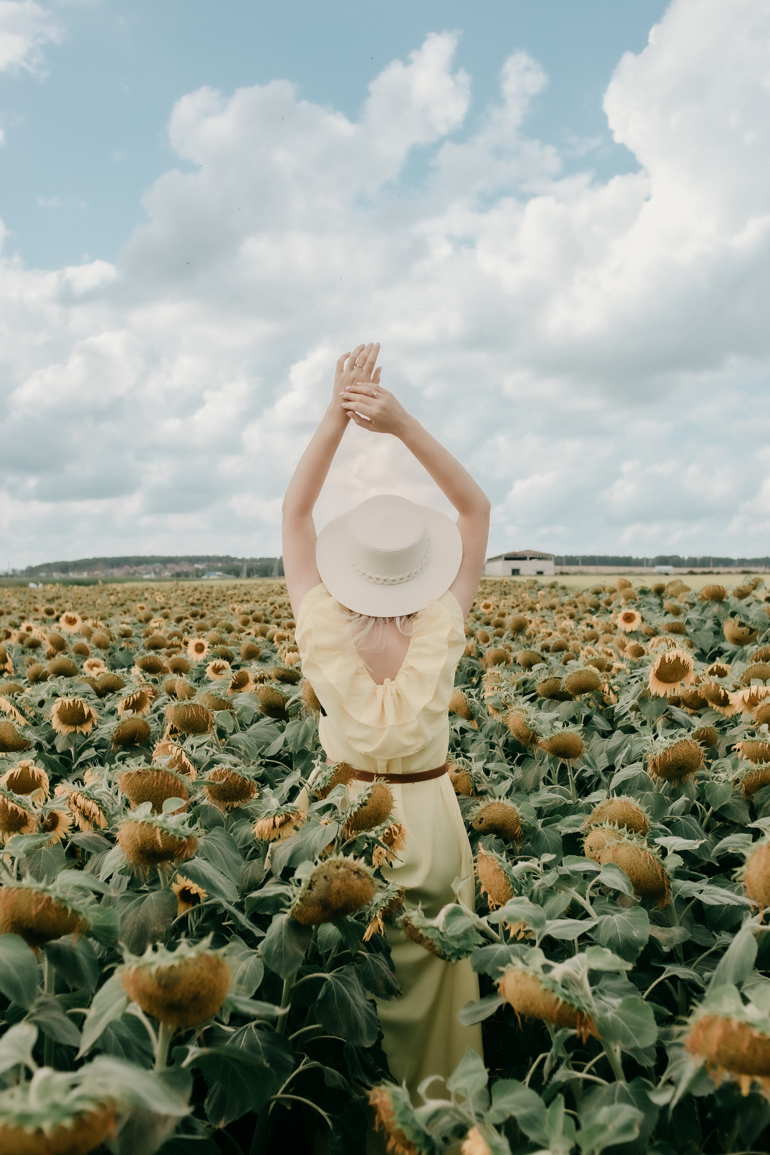 Прогулка в поле. Светлана, Матвей, Захар. Фотограф Регина Крикунова г. Красноярск