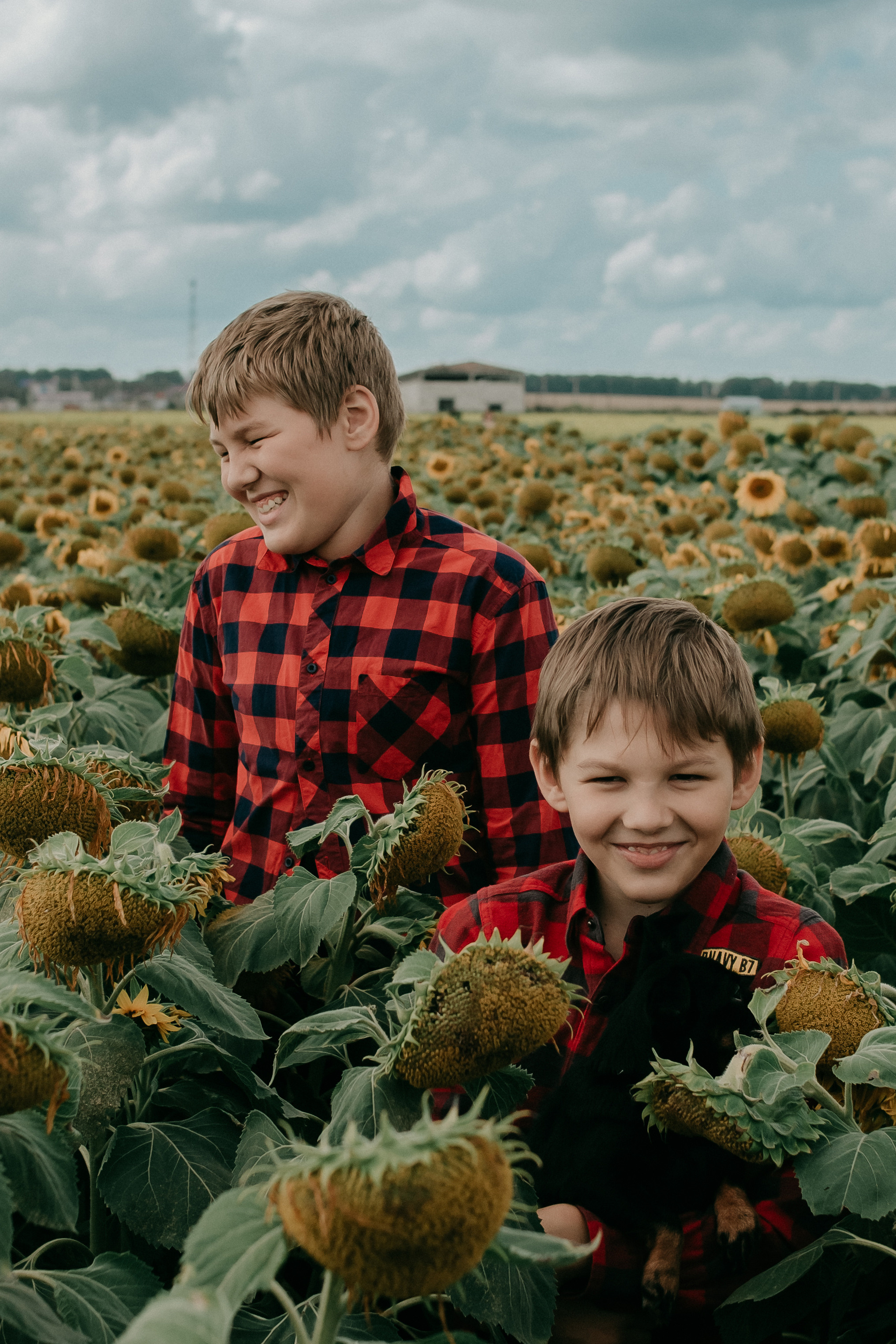 Прогулка в поле. Светлана, Матвей, Захар. Фотограф Регина Крикунова г. Красноярск