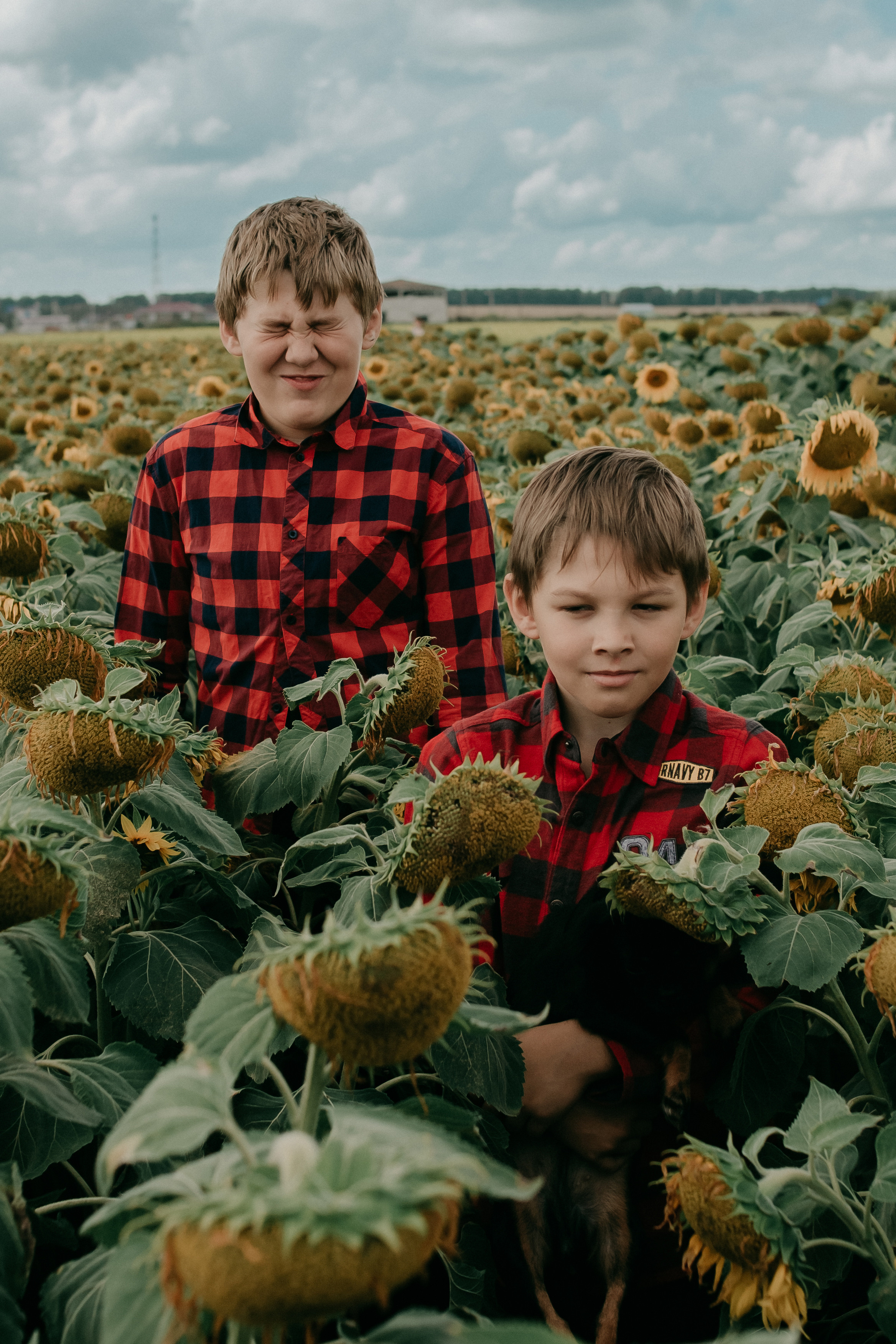 Прогулка в поле. Светлана, Матвей, Захар. Фотограф Регина Крикунова г. Красноярск