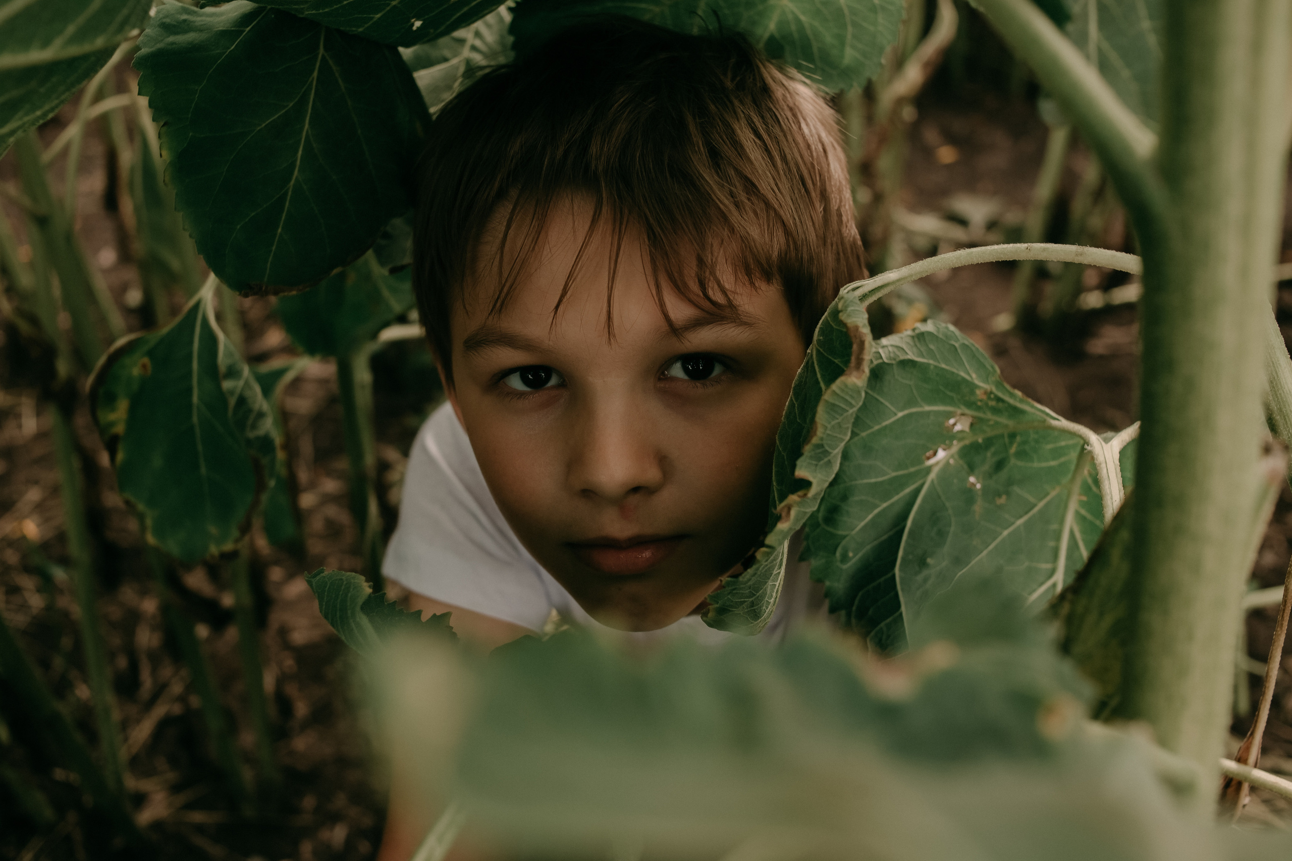Прогулка в поле. Светлана, Матвей, Захар. Фотограф Регина Крикунова г. Красноярск