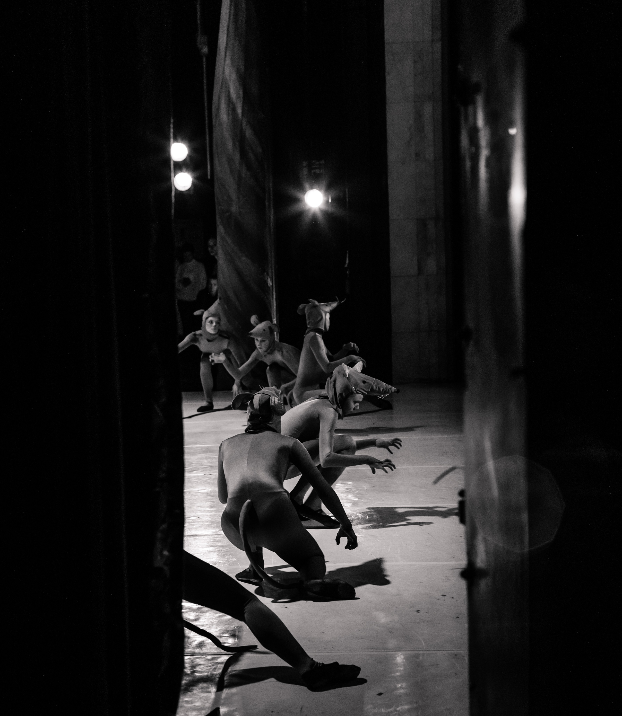 Балетные фотосъемки | Фотограф Юлия Калай. Калай Юлия. Фотограф. Москва