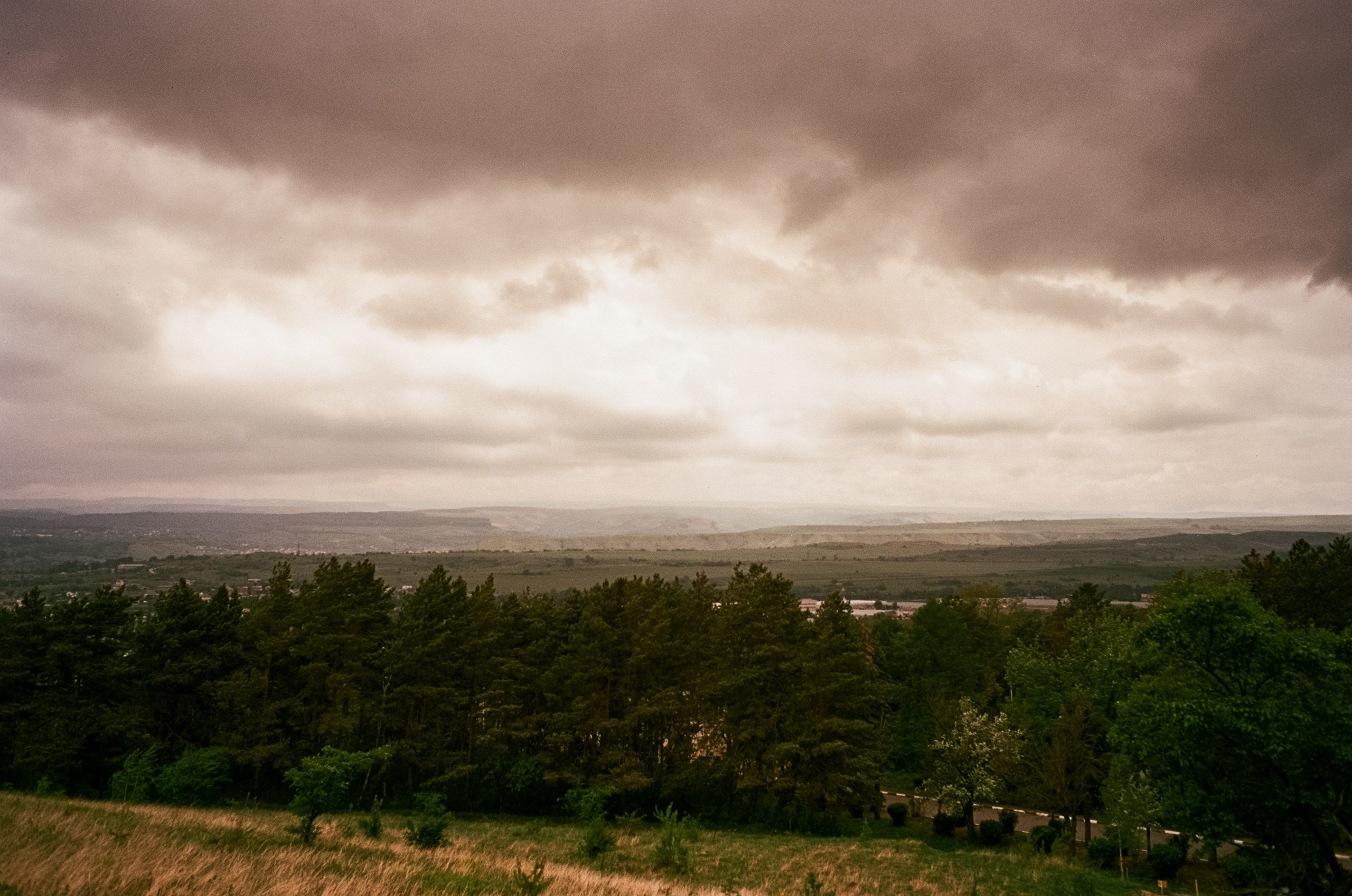 Кисловодск, дорога в сторону метеостанции, туман, лошади / Voigtlander