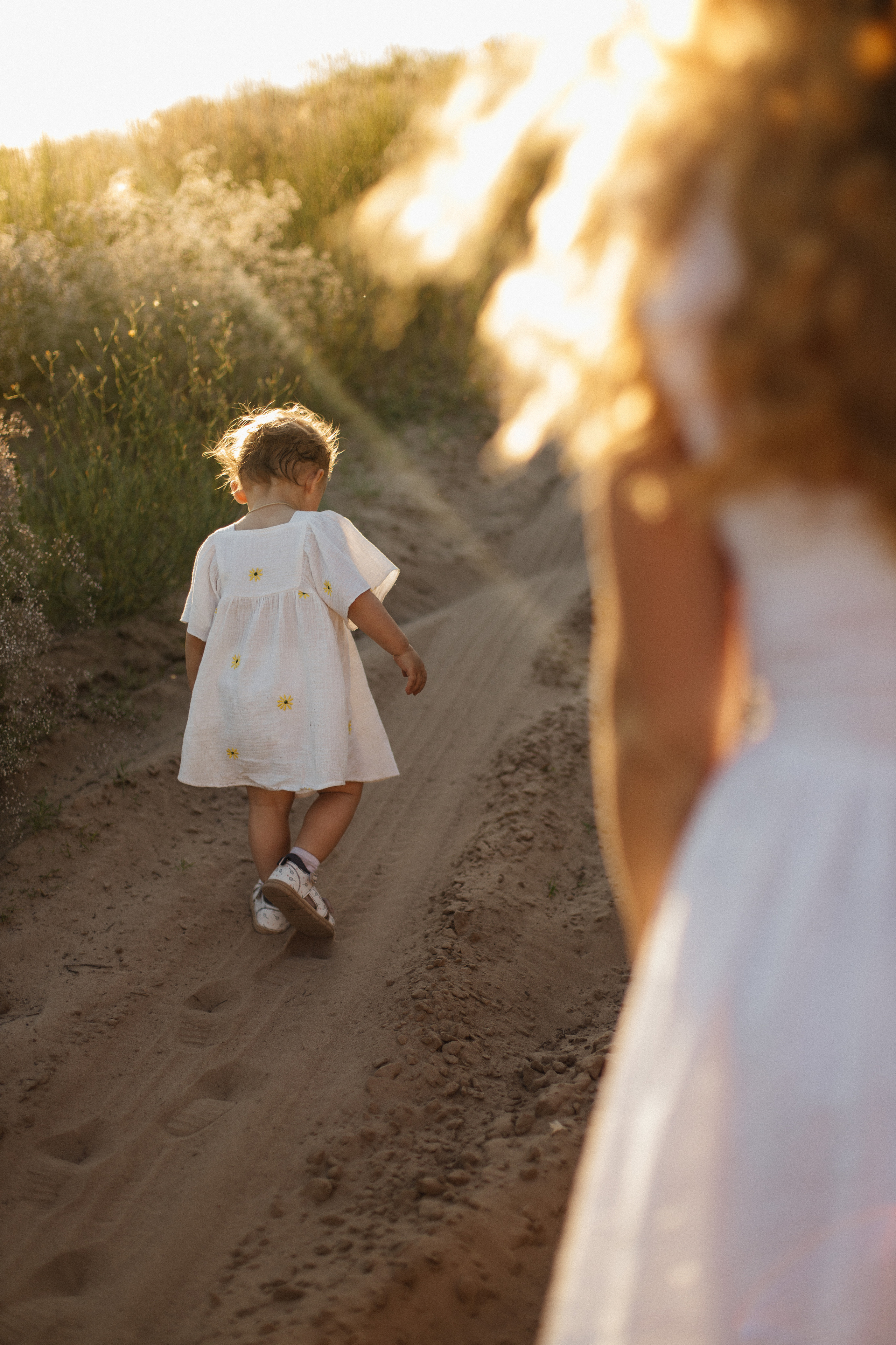 Семейная фотосессия в поле. Семейный фотограф в Самаре Елена Ефимова