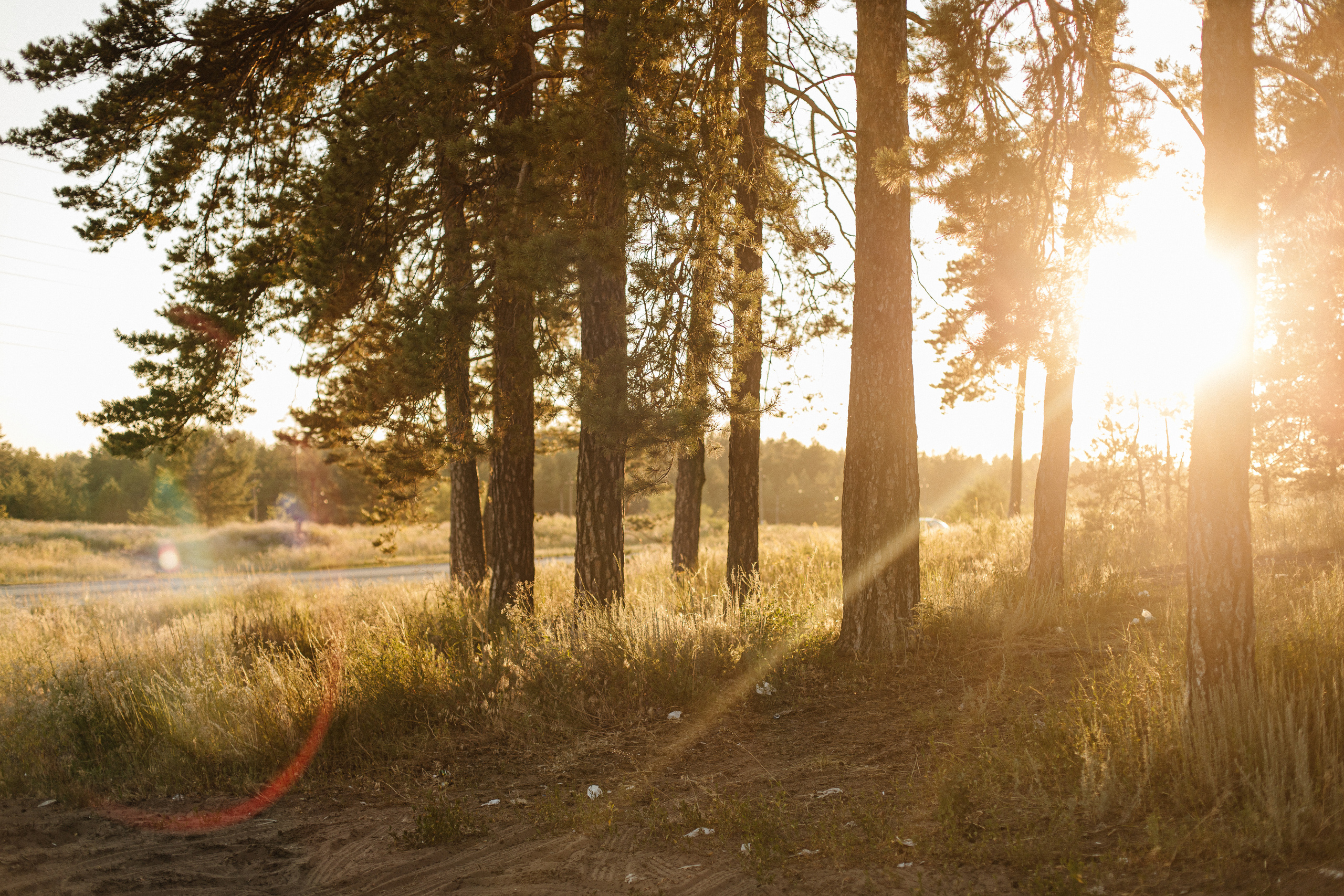 Семейная фотосессия в поле. Семейный фотограф в Самаре Елена Ефимова