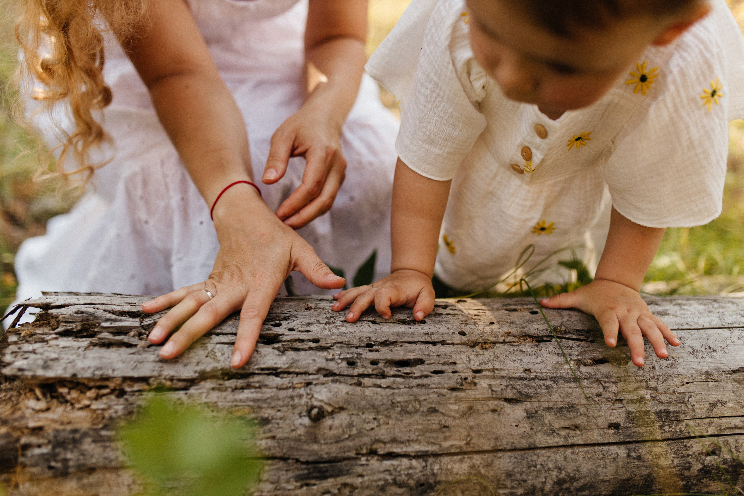 Семейная фотосессия в поле. Семейный фотограф в Самаре Елена Ефимова