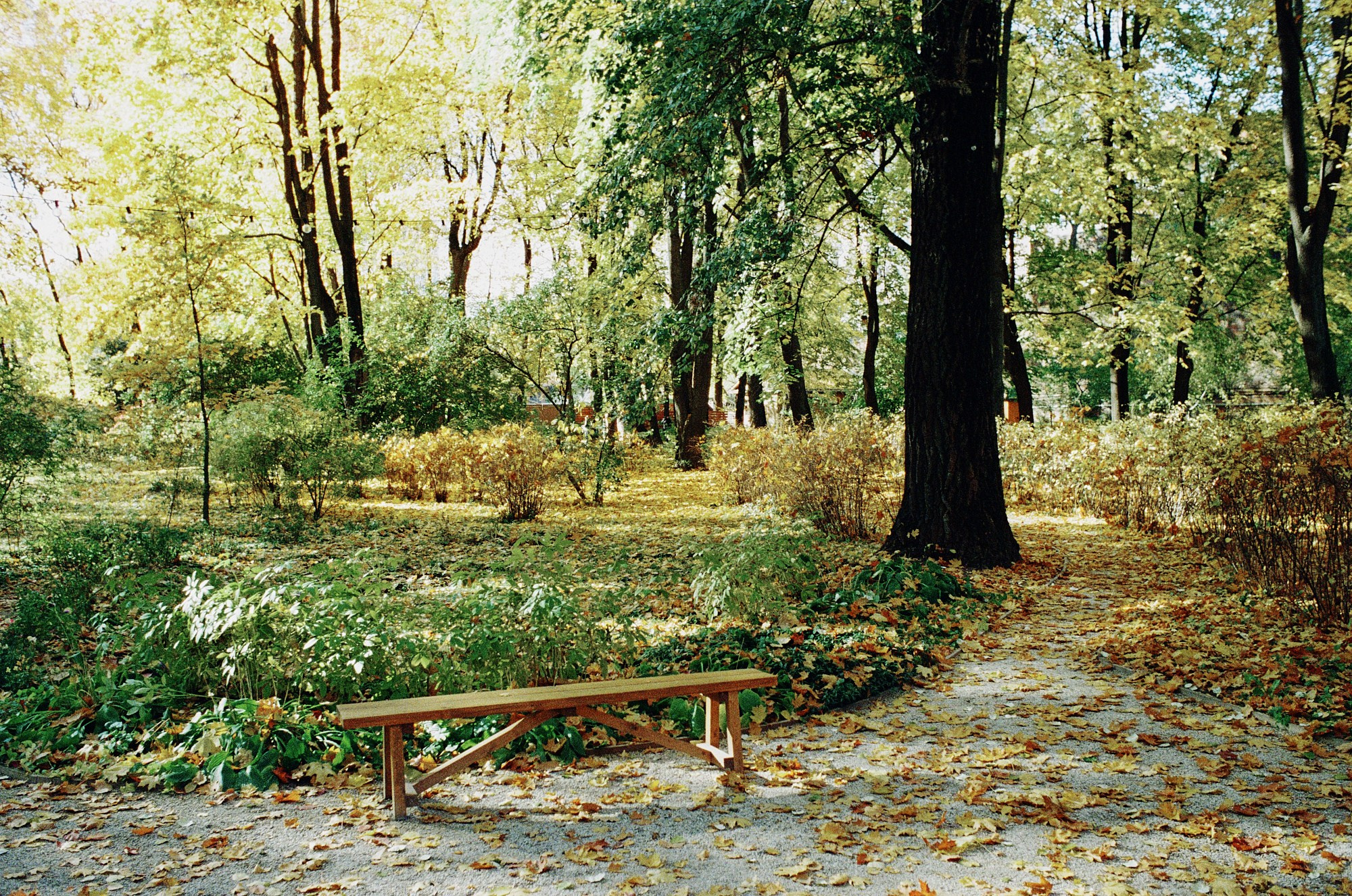The Lev Tolstoy House Museum