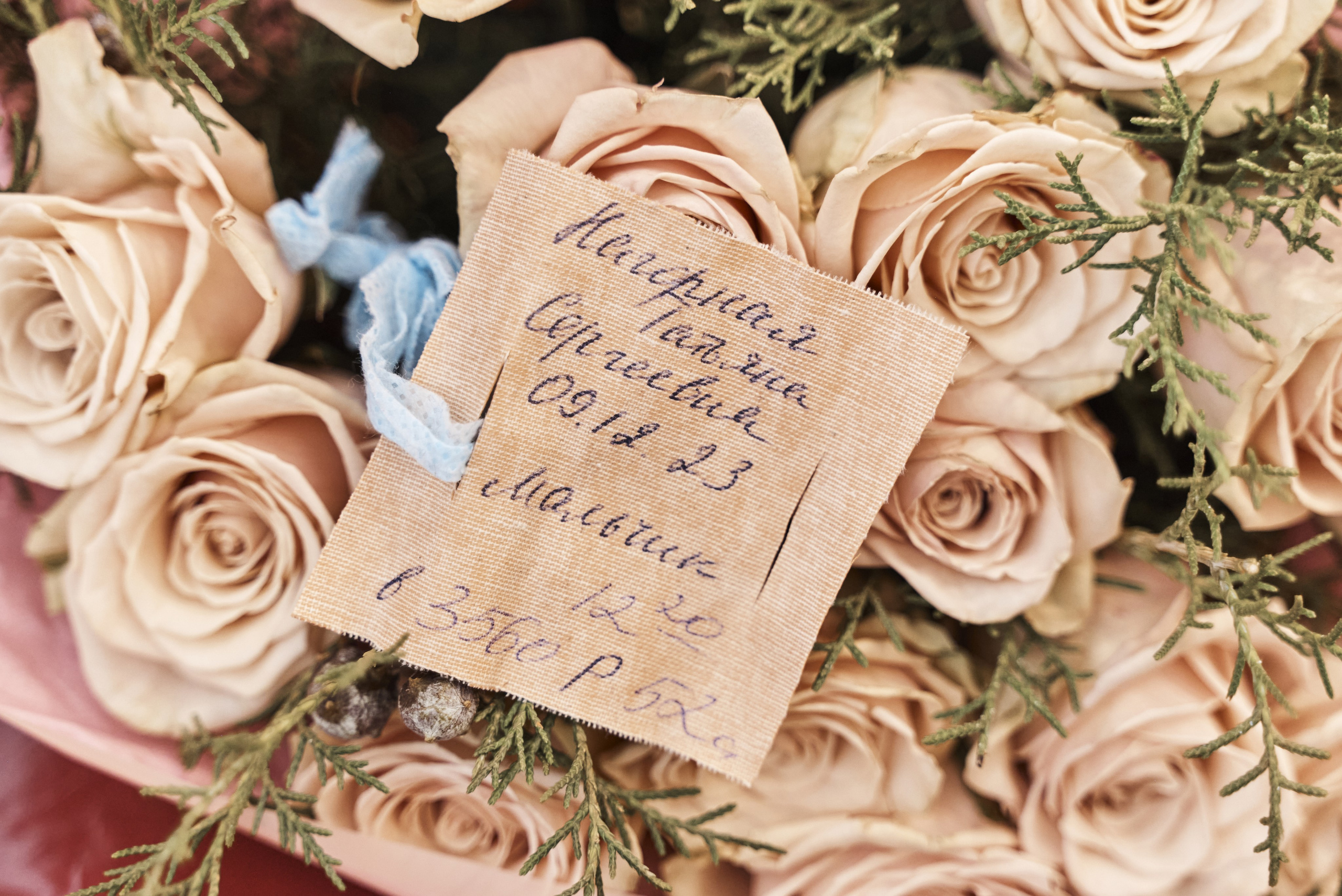 Выписка Дмитрия. Детский и семейный фотограф Шемарова Ольга