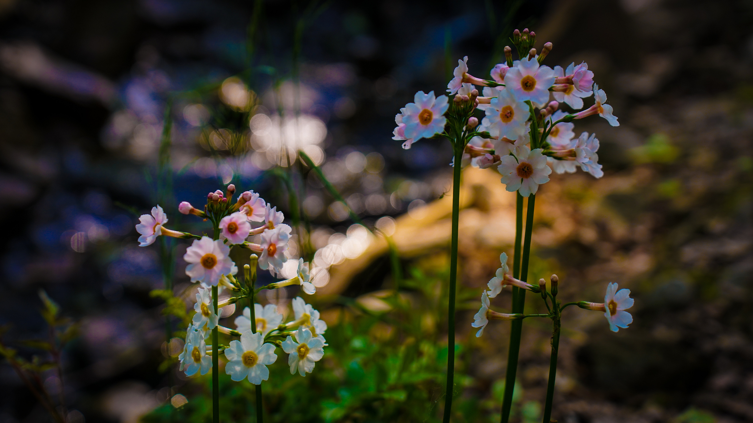 Уличная и репортажная фотография. Репортажный фотограф в Москве Светлана Мулыкина