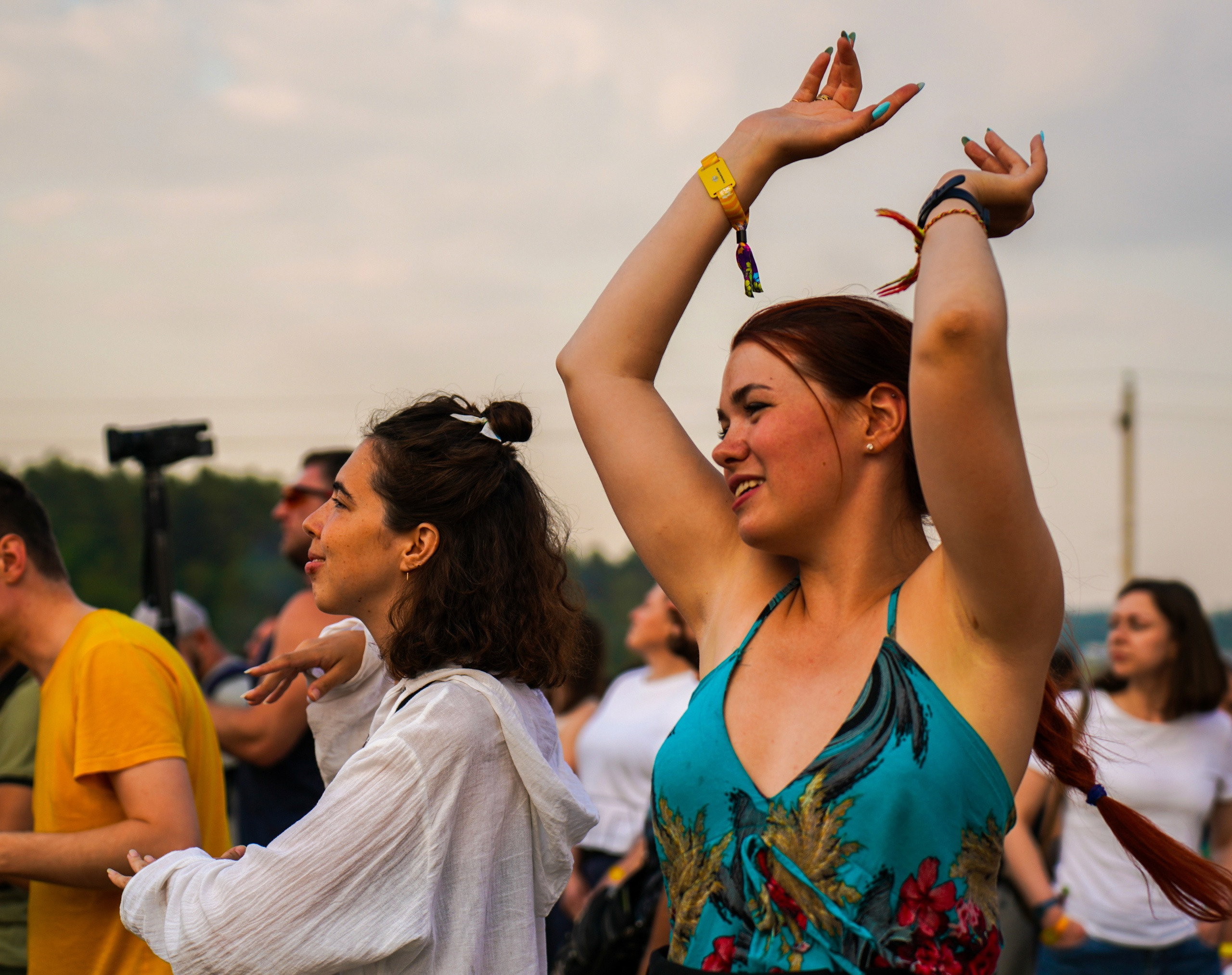 дикая мята, фестиваль, концерт, музыка, танцы,