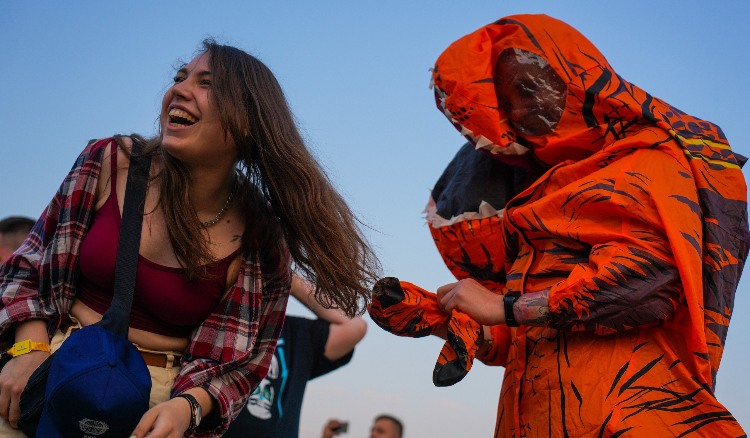 дикая мята, фестиваль, концерт, музыка, танцы,