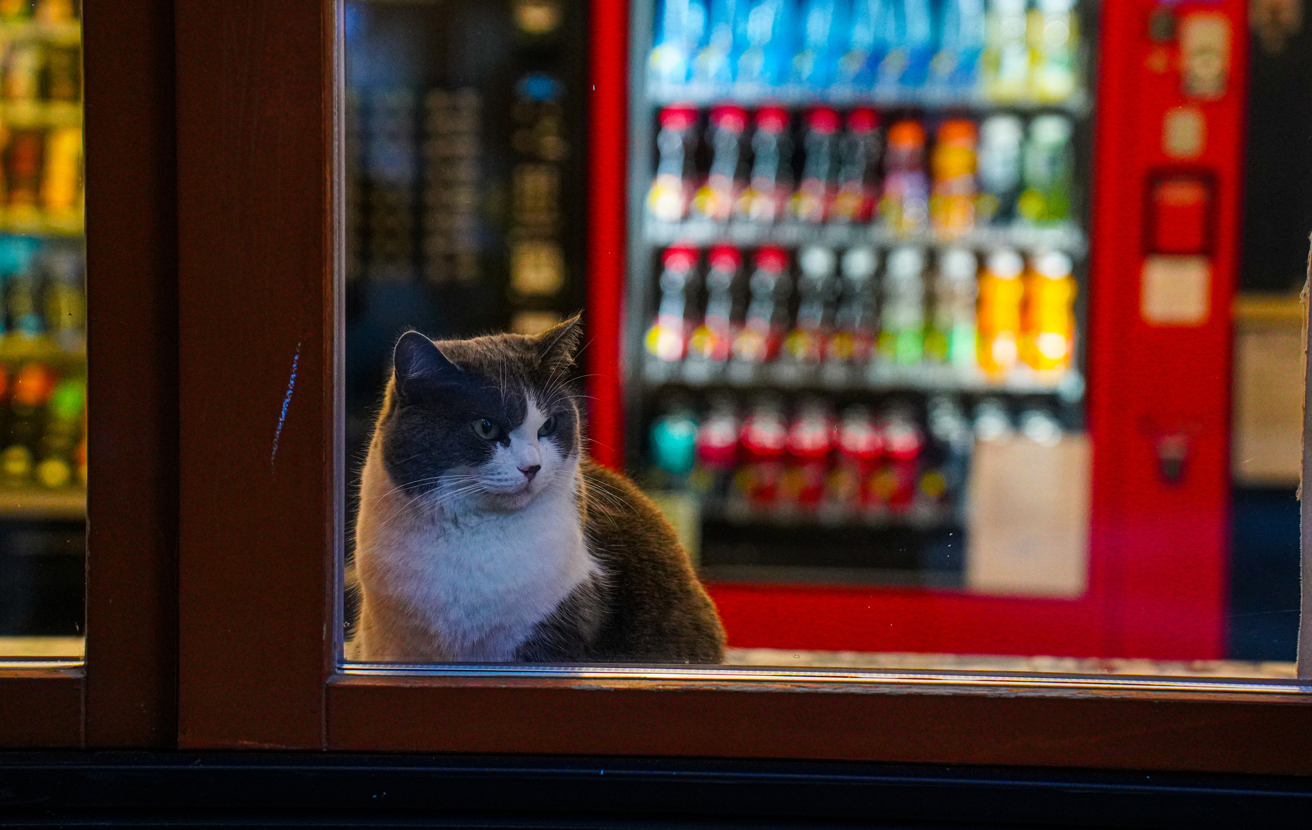 Уличная и репортажная фотография. Репортажный фотограф в Москве Светлана Мулыкина