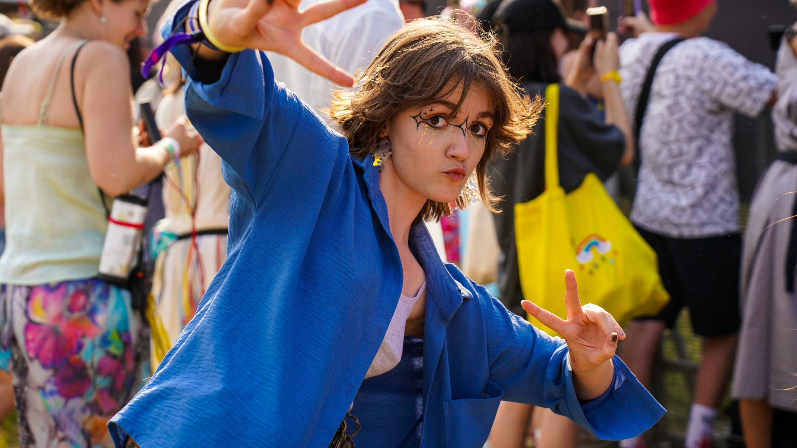 дикая мята, фестиваль, концерт, музыка, танцы,