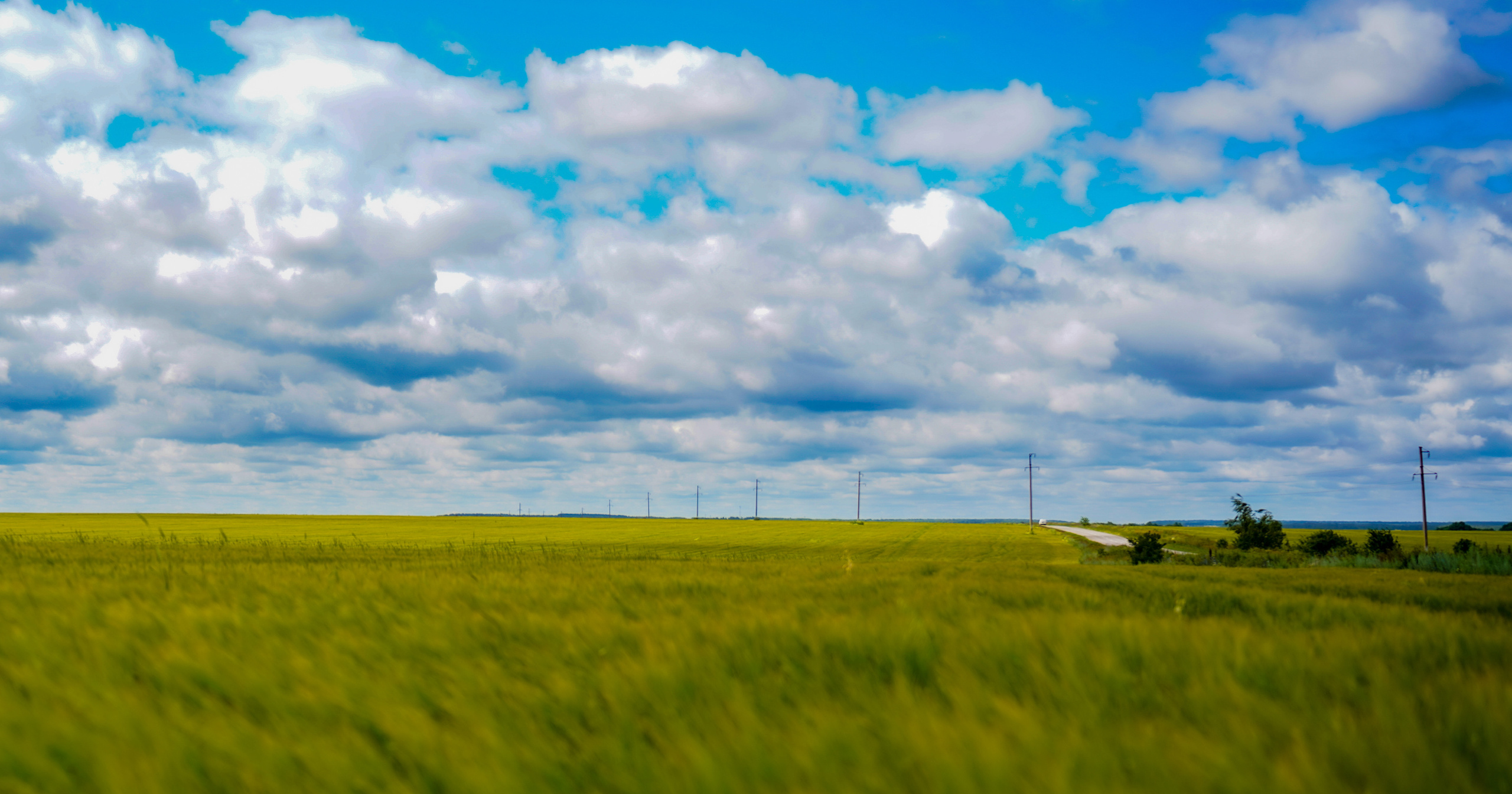 Уличная и репортажная фотография. Репортажный фотограф в Москве Светлана Мулыкина