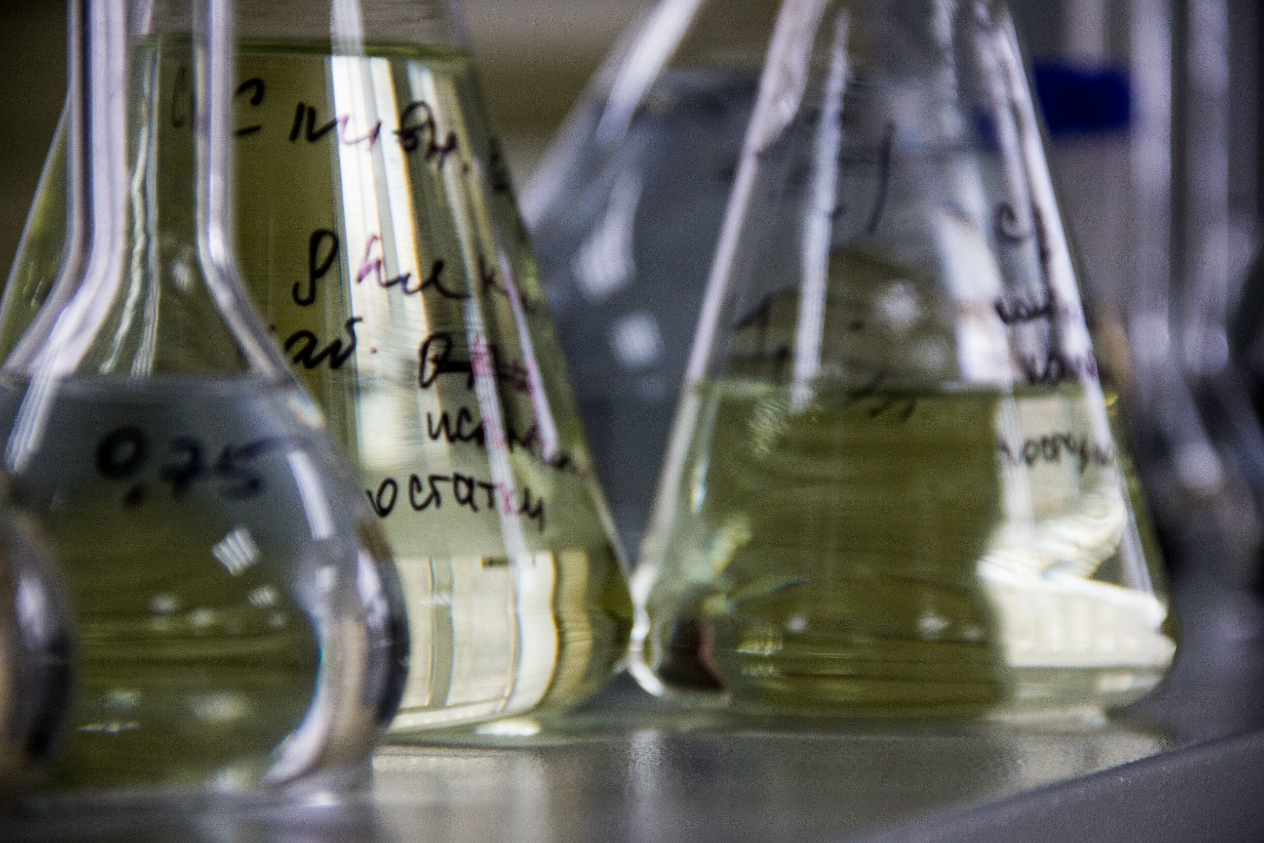 Малый бизнес и предметка. Репортажный фотограф в Москве Светлана Мулыкина