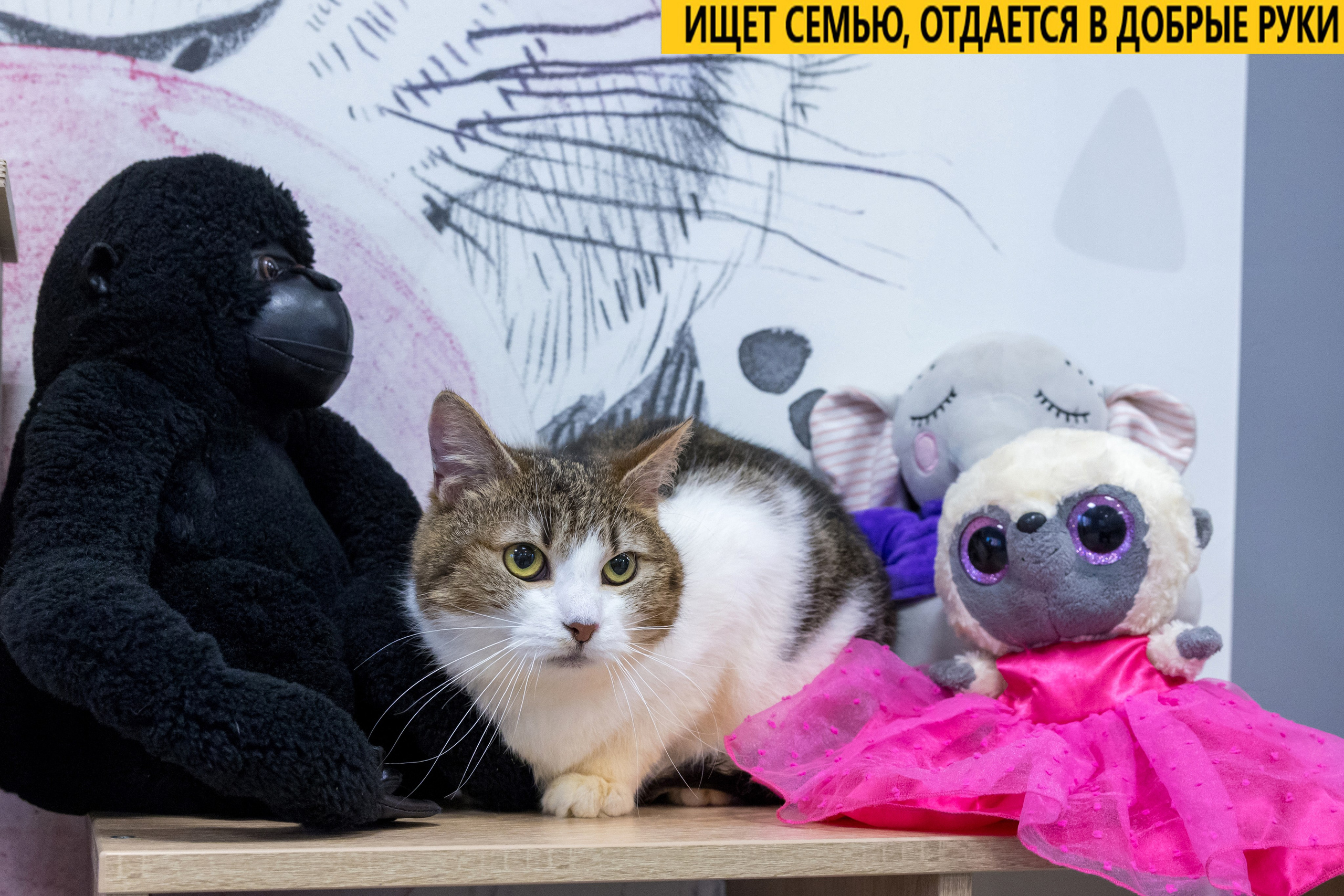 Рекламная съемка в Москве. Геннадий Степанов —фотограф в Москве