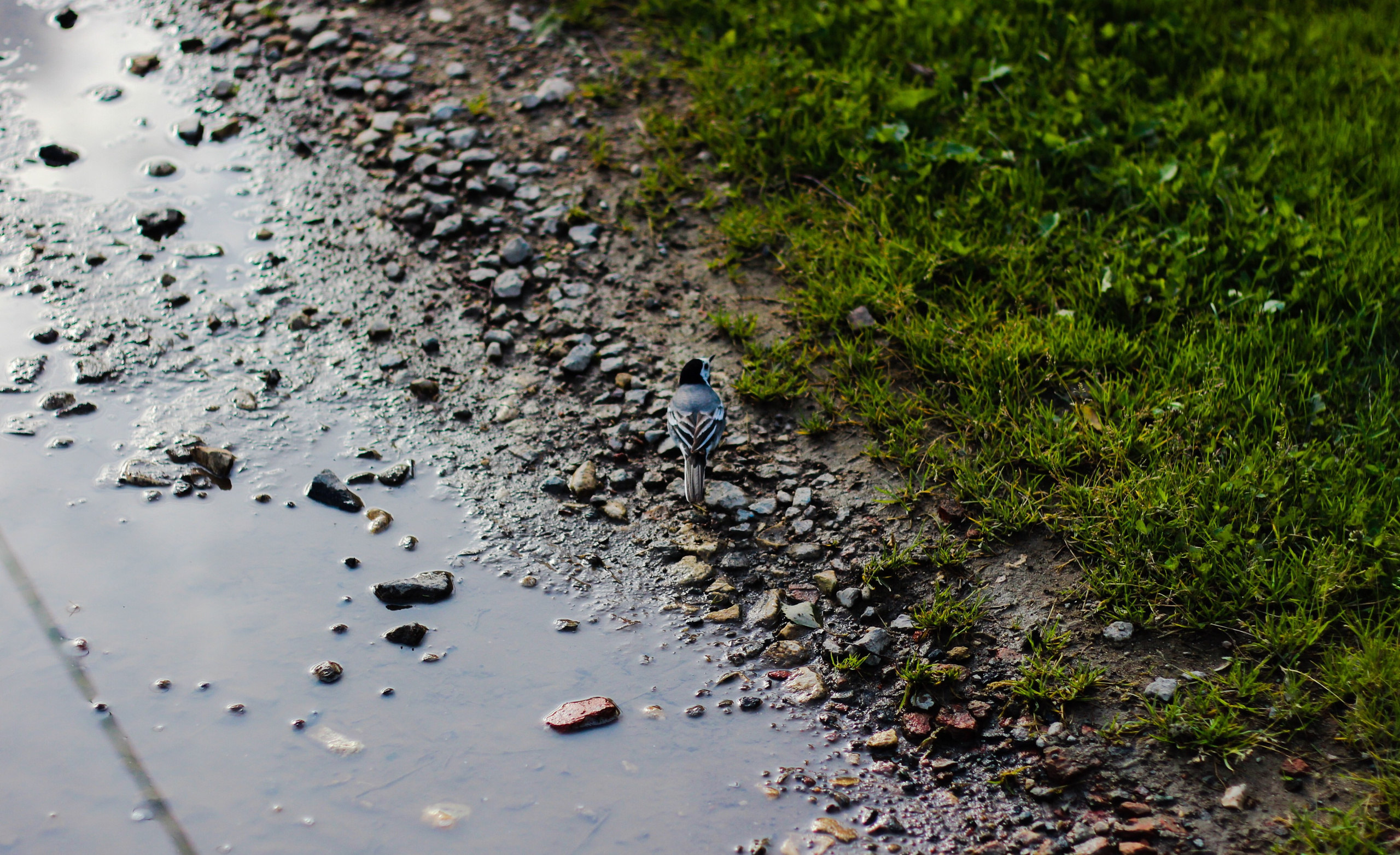 Природа. Polyframe