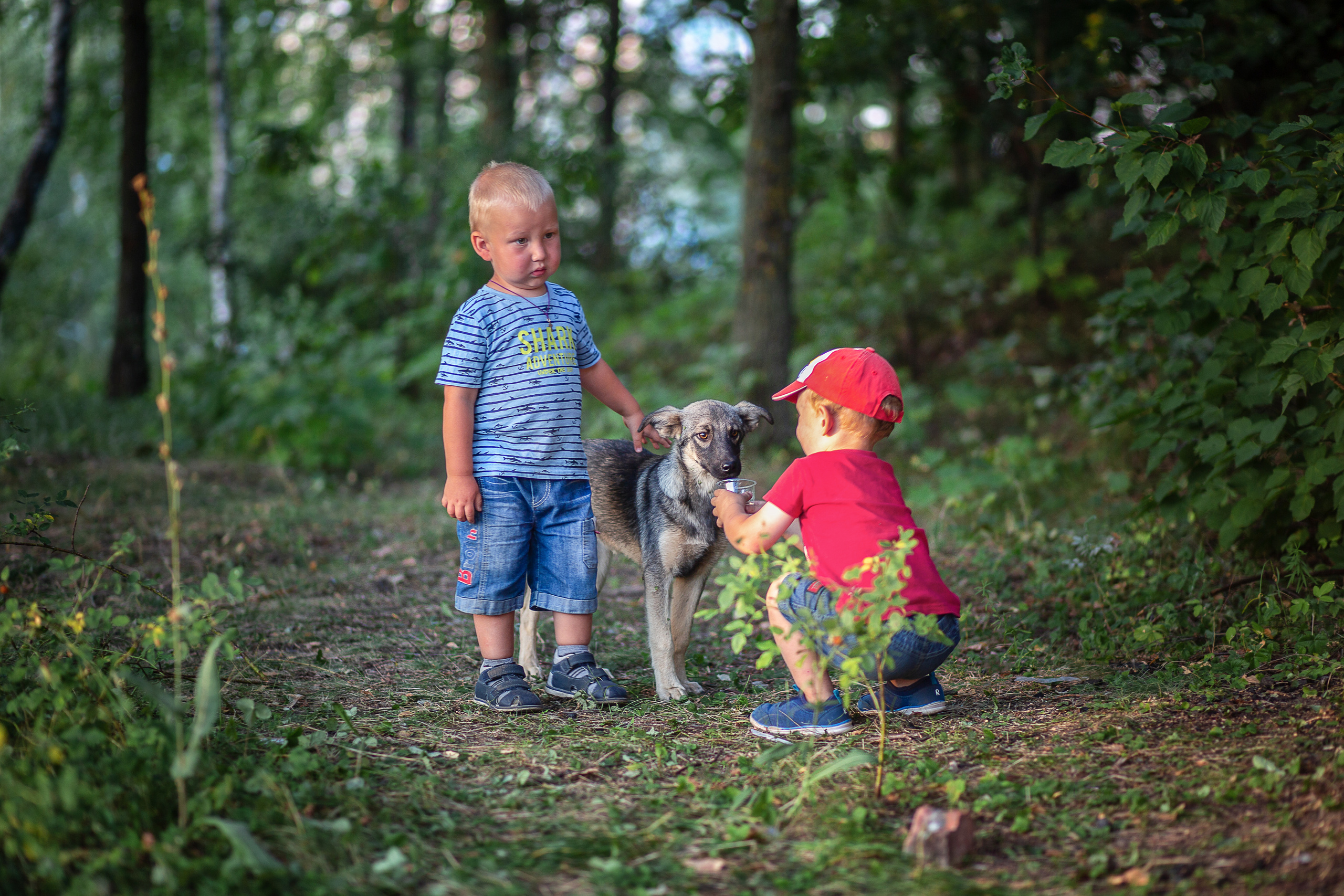 Дети. Детский и семейный фотограф Алиса Хмелева г. Апатиты