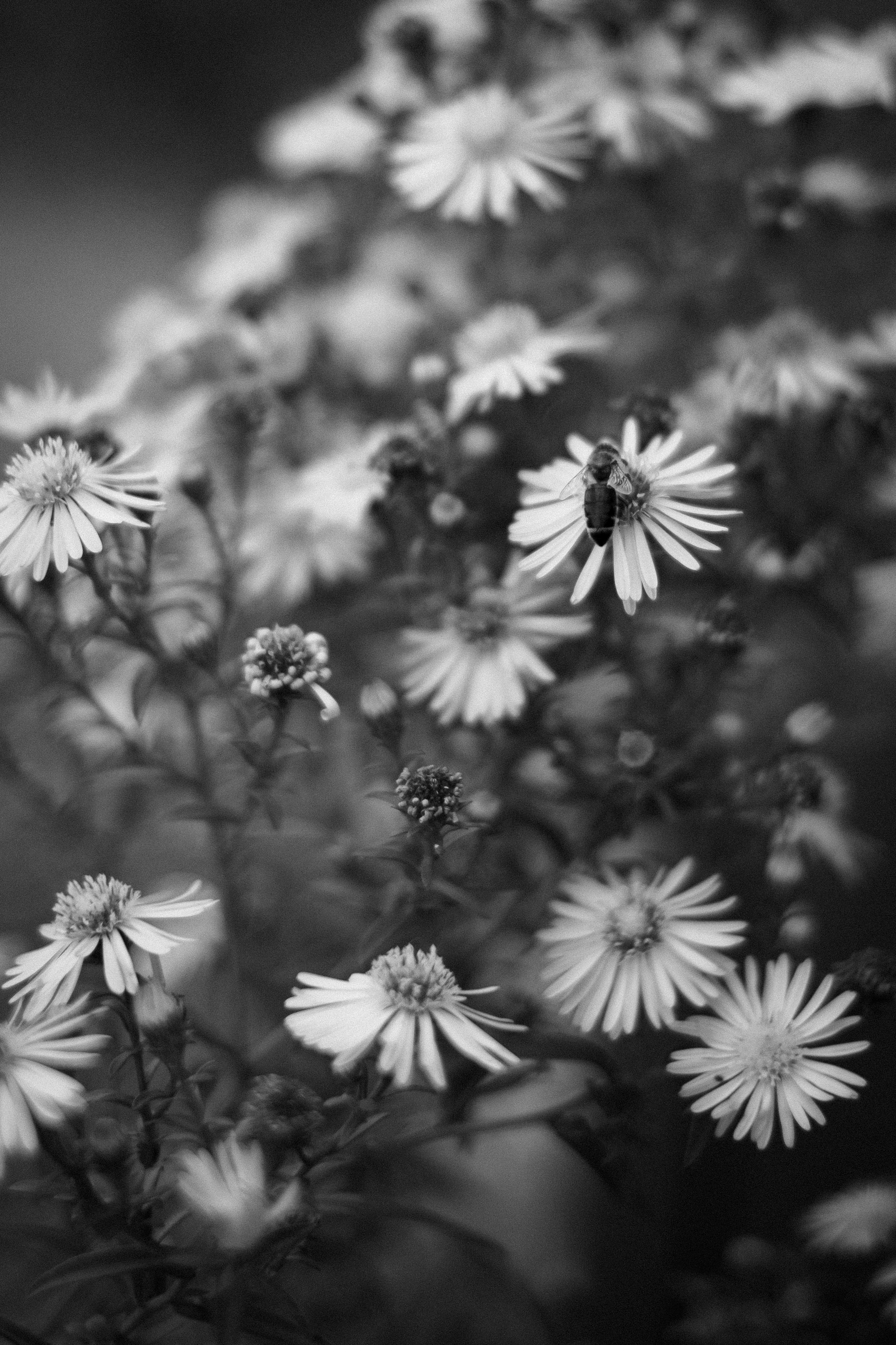 Обо мне. Anastasia N | Фотограф Челябинск