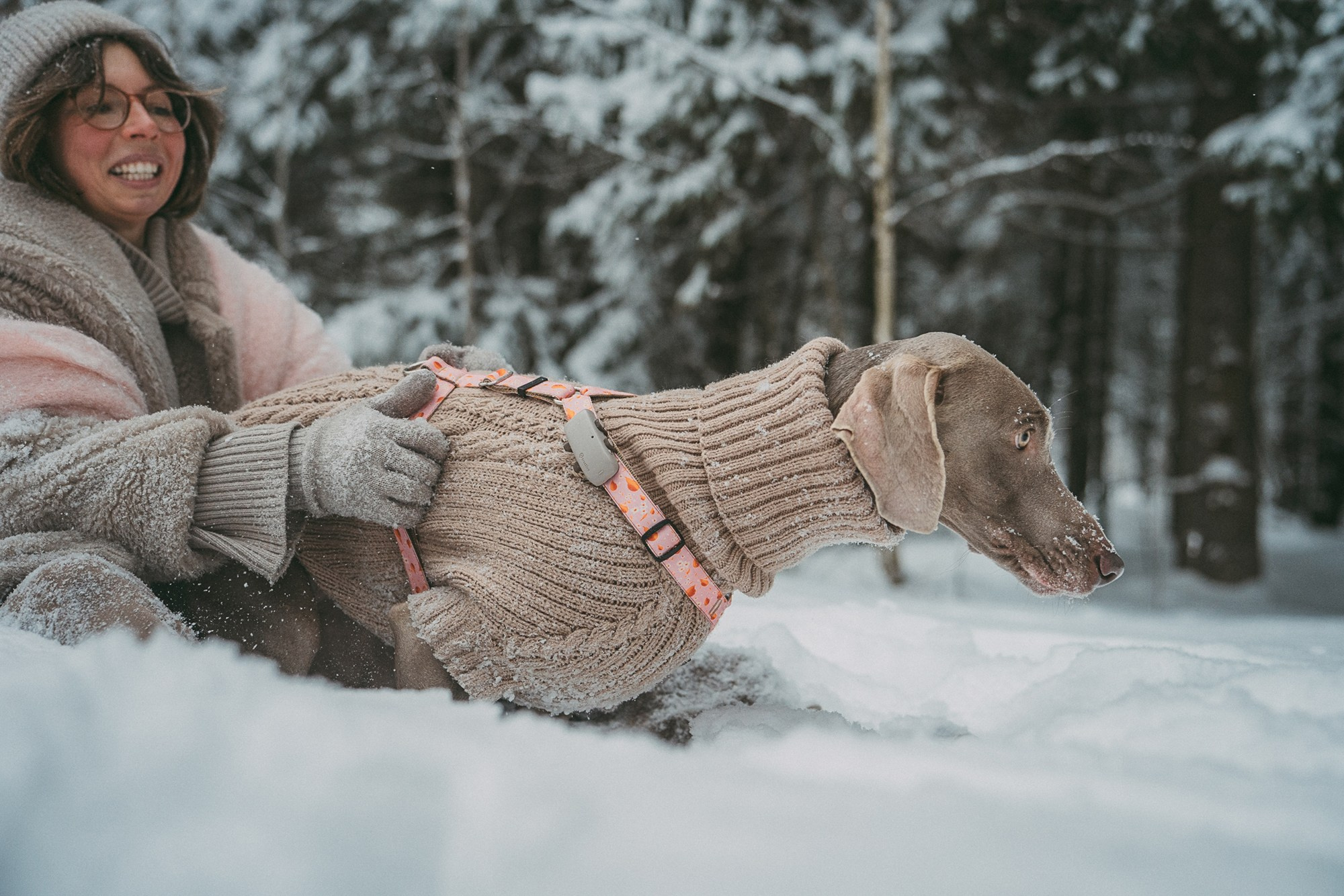 Лена и Фанни. Фотограф анималист в Москве и Санкт-Петербурге Свиридова Анна