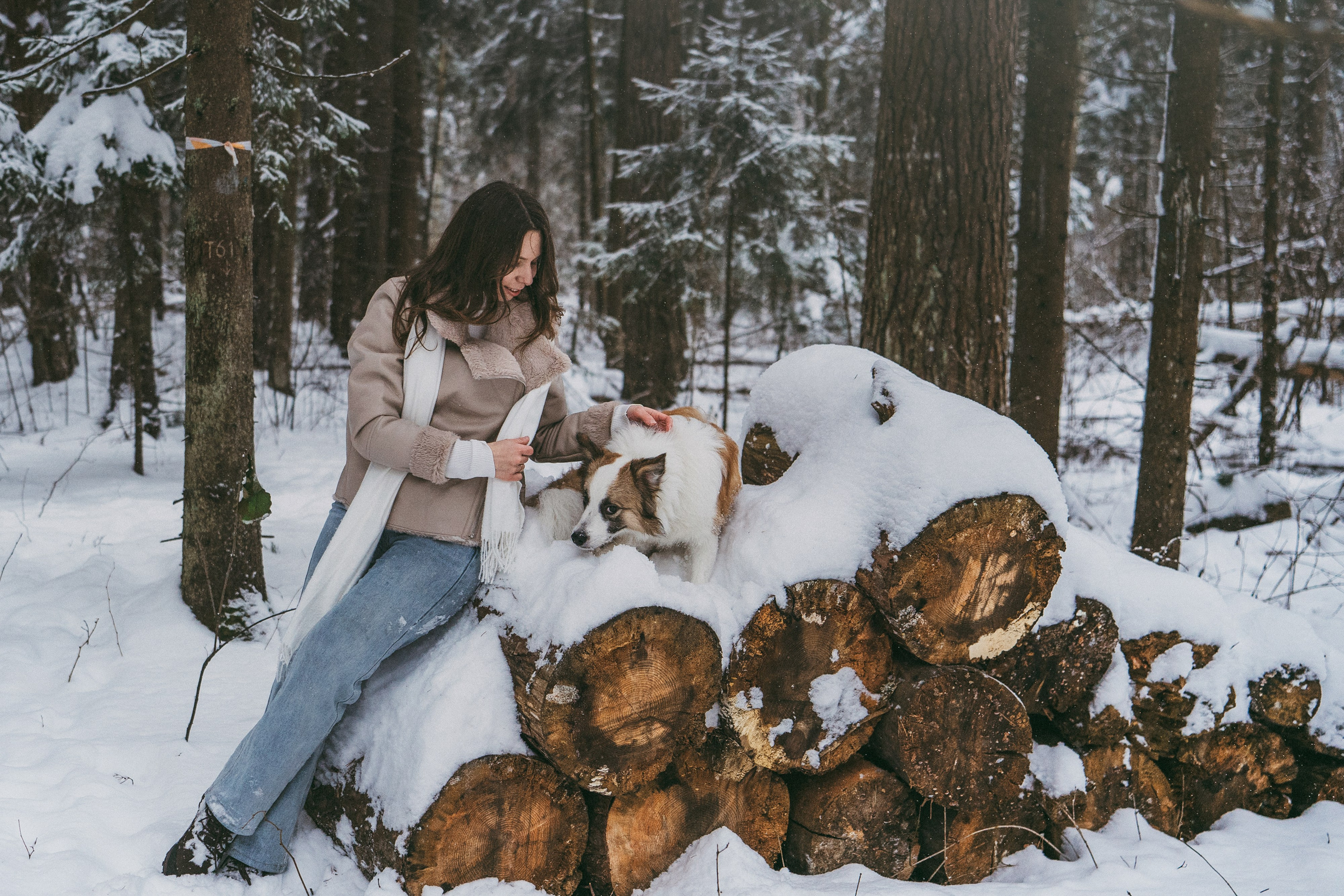 Катя, Анатолий и Елай. Фотограф анималист в Москве и Санкт-Петербурге Свиридова Анна