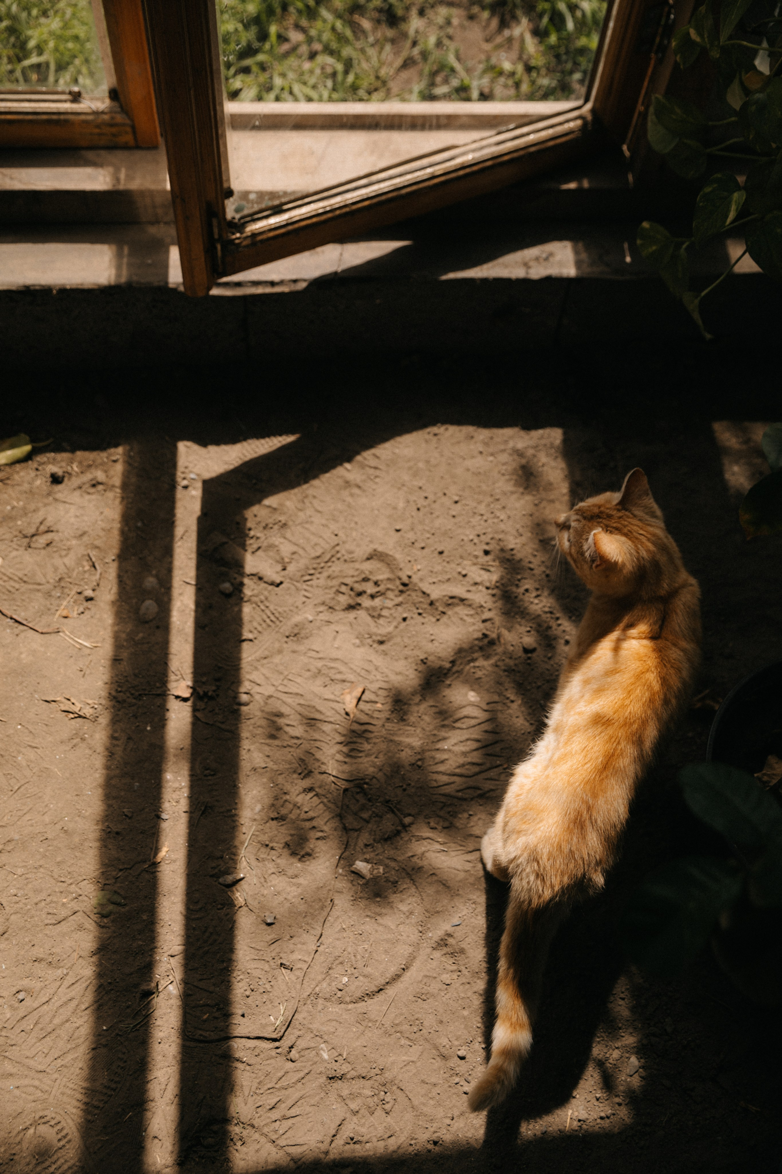 Ферма. Свадебный и семейный фотограф Василина Батищева в Моздоке, Северной Осетии и КМВ