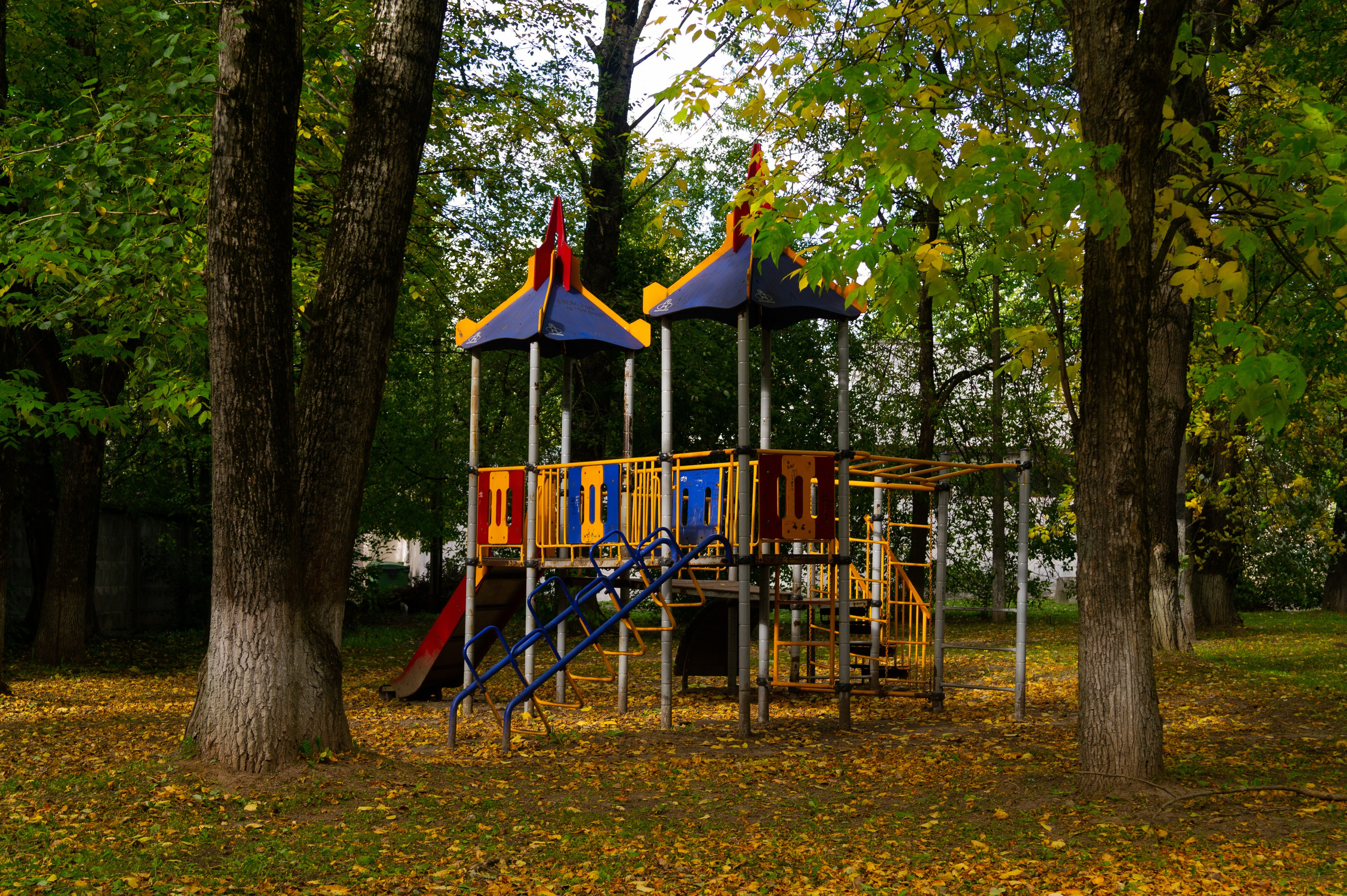 Сентябрь 2025. Den Mirov — Фотограф, Музыкант