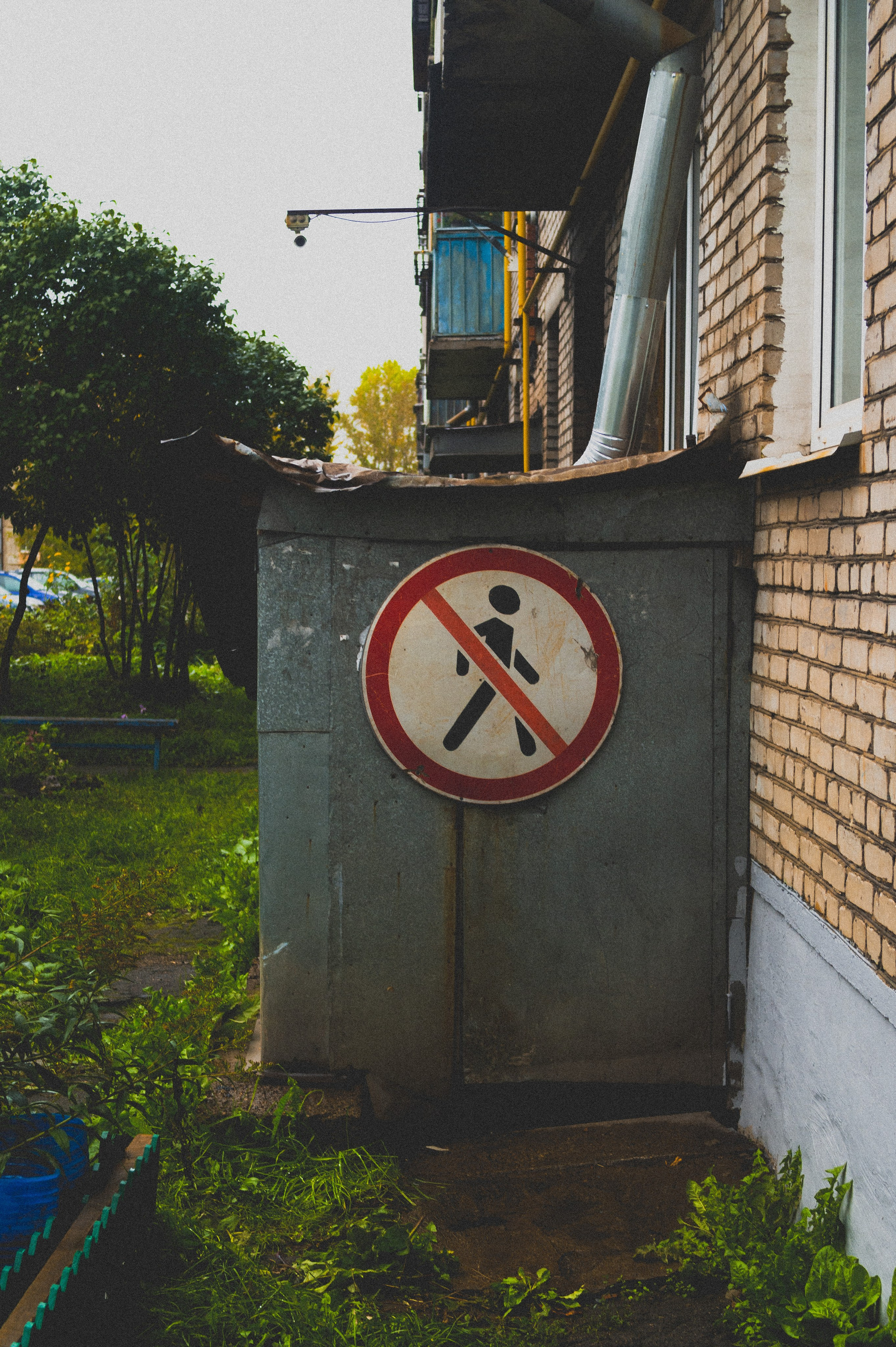 Октябрь 2025. Den Mirov — Фотограф, Музыкант